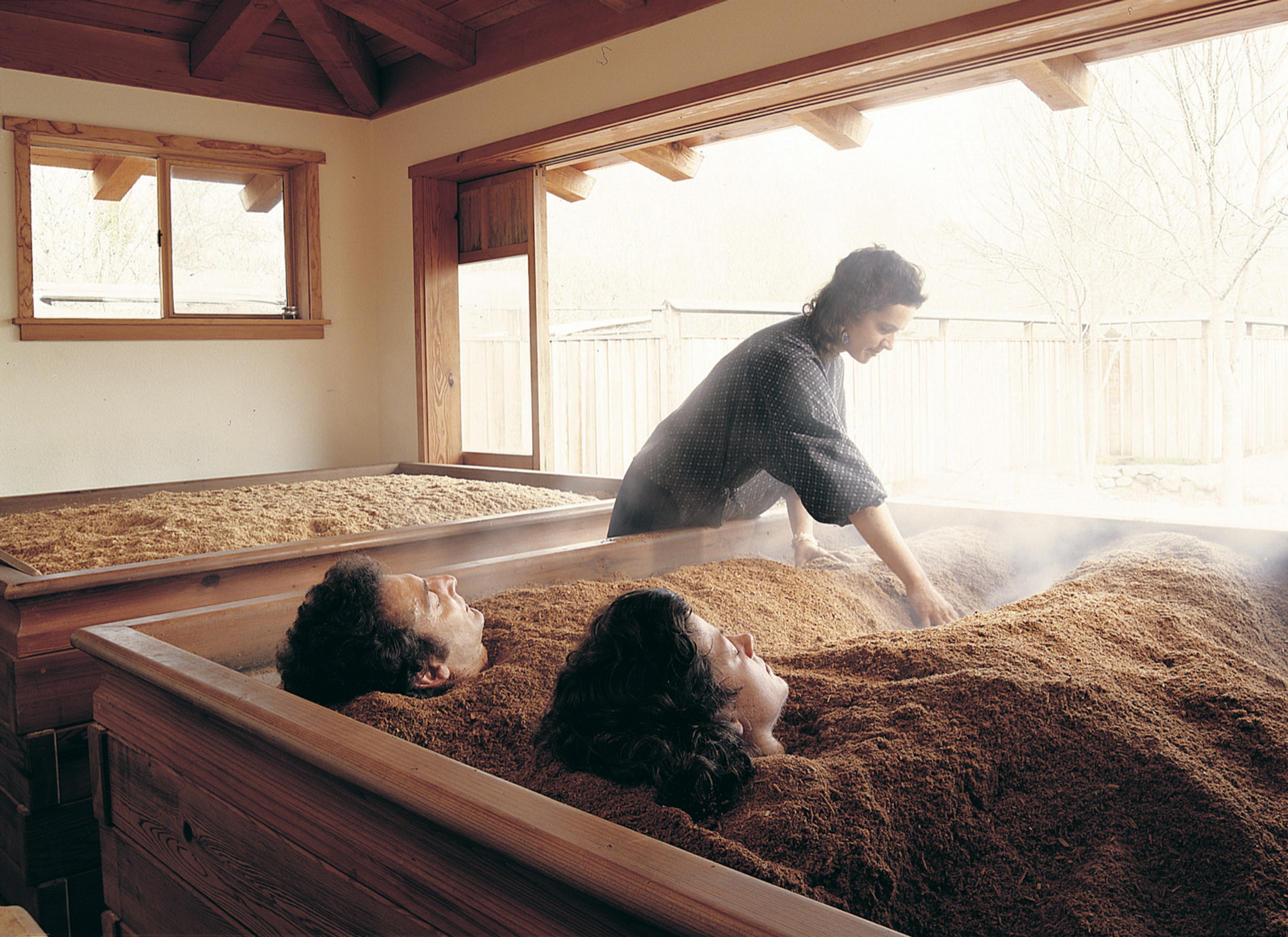 People are immersed in cedar. Another way to experience California's redwoods