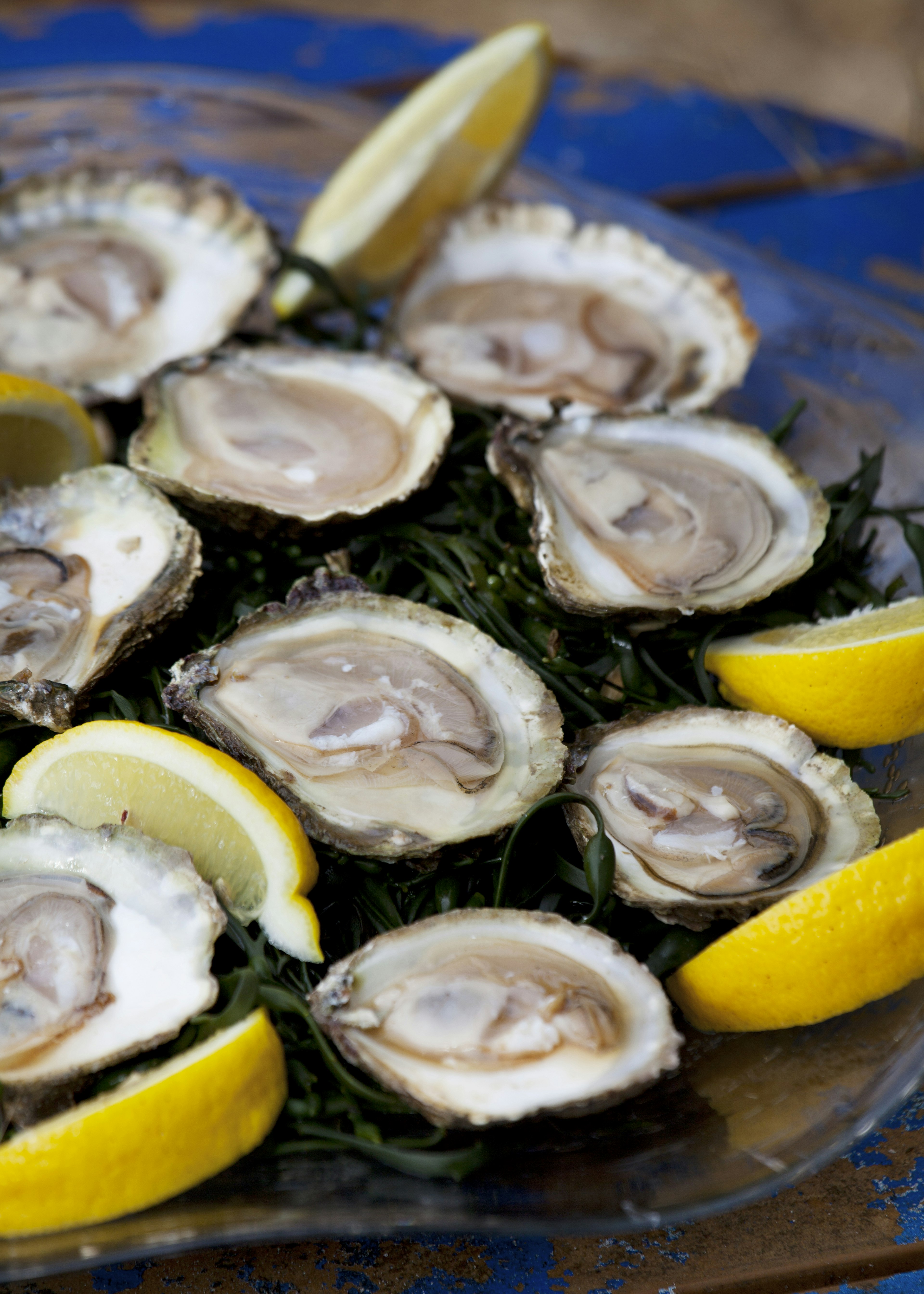 488181215
Seaweed, Gourmet, Prepared Oysters, Prepared Shellfish, Prepared Fish, Northern Ireland, Galway, Republic of Ireland, Lemon, Seaweed, Oyster, Seafood, Food, Irish Cuisine
Native wild oysters from Galway Ireland