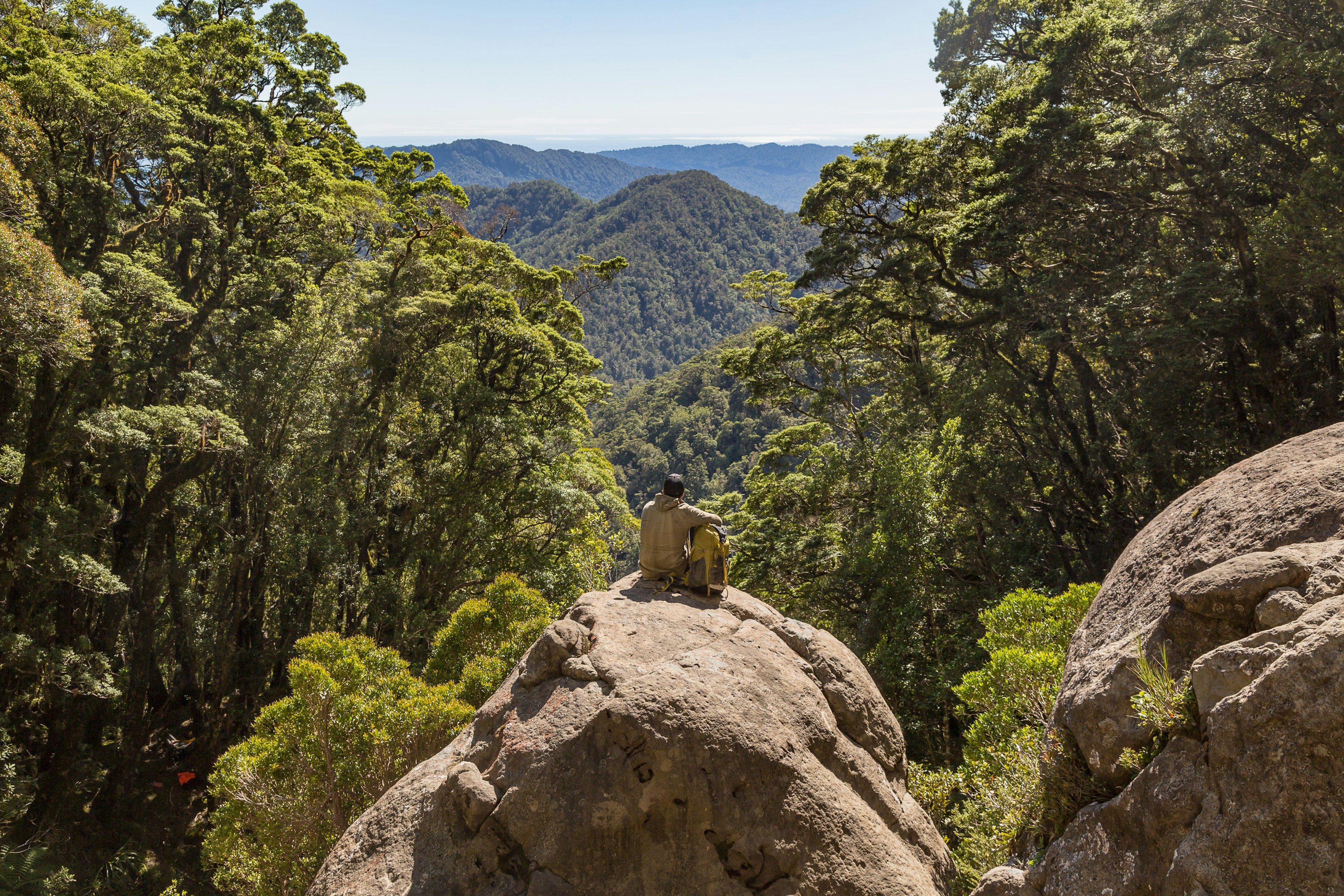 A man sitting on a rock on the Paparoa Track in New Zealand