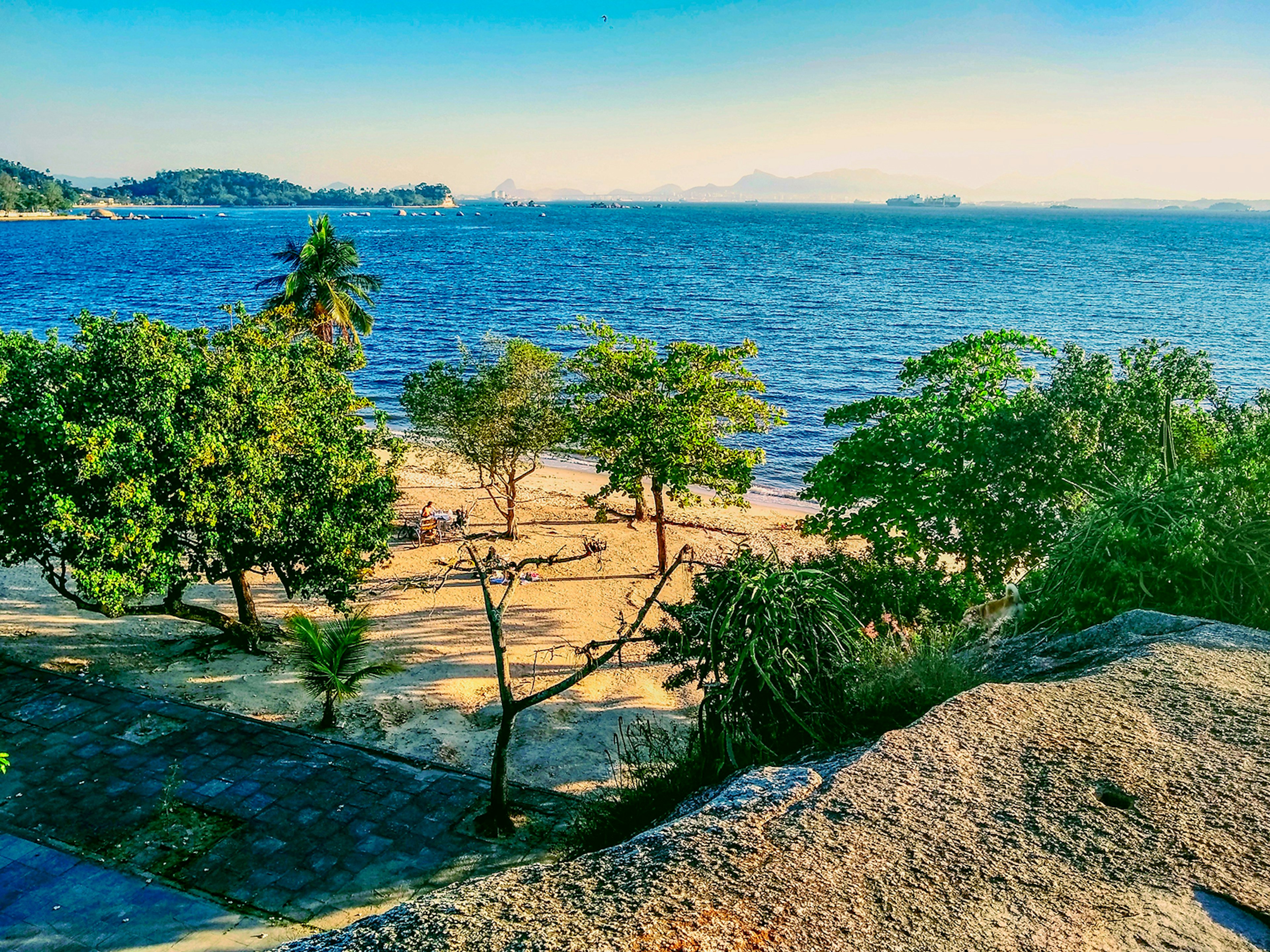 An overhead view of a breach dotted with leafy green trees. Rio's coastline is in the distance. Ilha da ʲܱá, Brazil