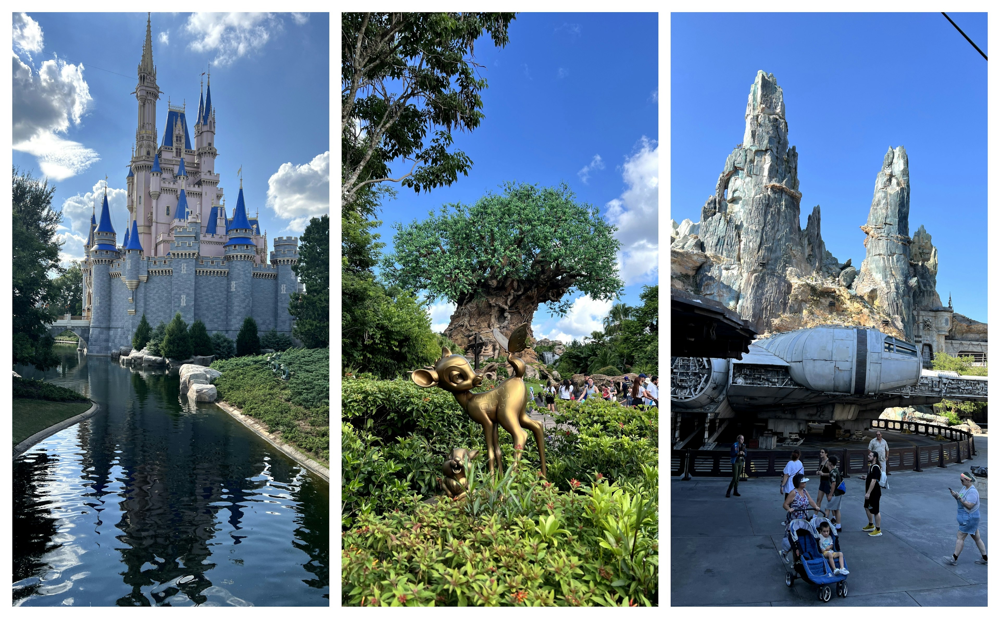 While Park Hopper passes aren't necessary, its fun to explore Animal Kingdom by day and enjoy the Magic Kingdom fireworks at night. Sarah Stocking for Lonely Planet