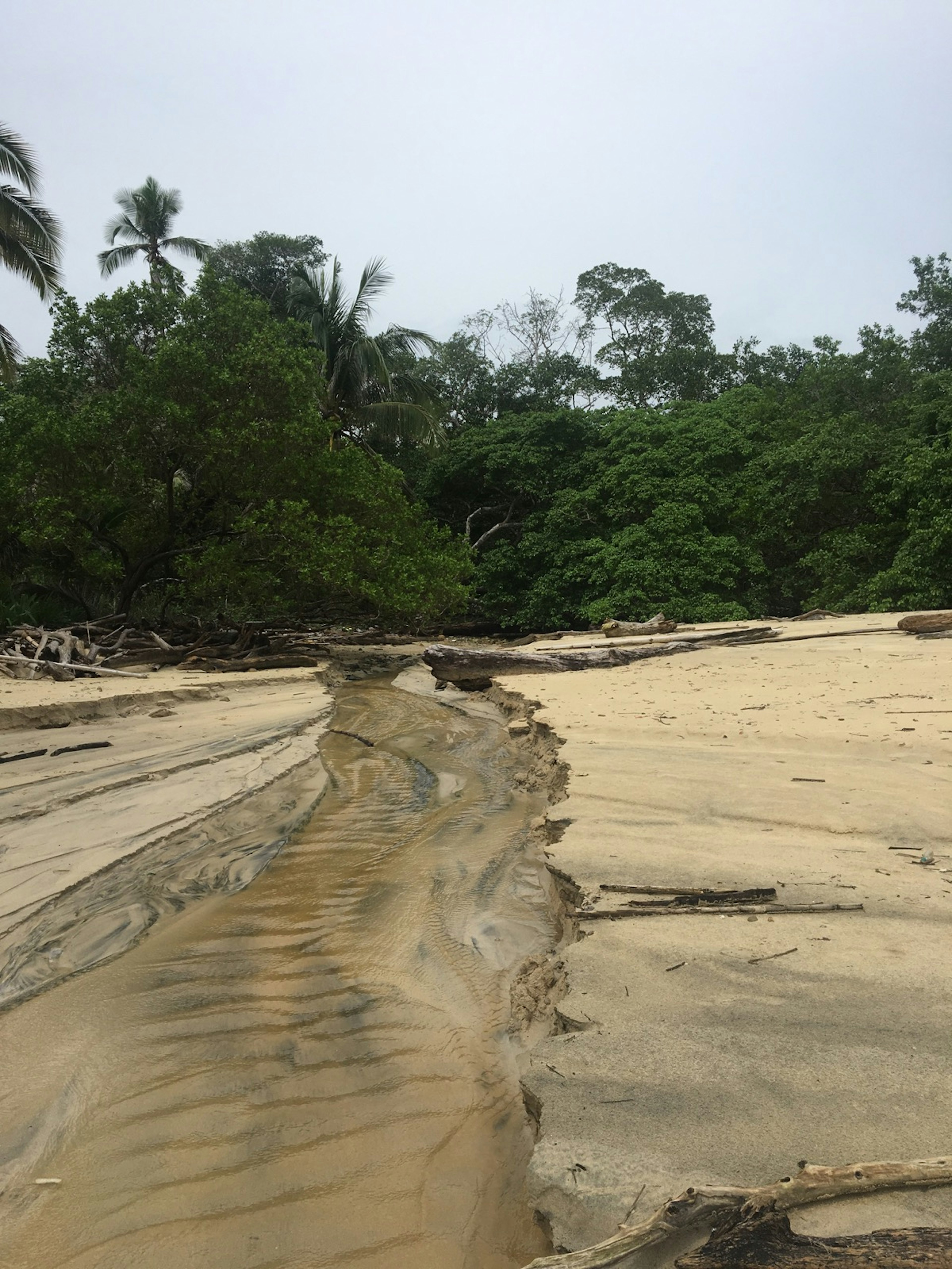 Canas Island is one of a group of islands that make up the Pearl Islands in Panama Alicia Johnson / Lonely Planet