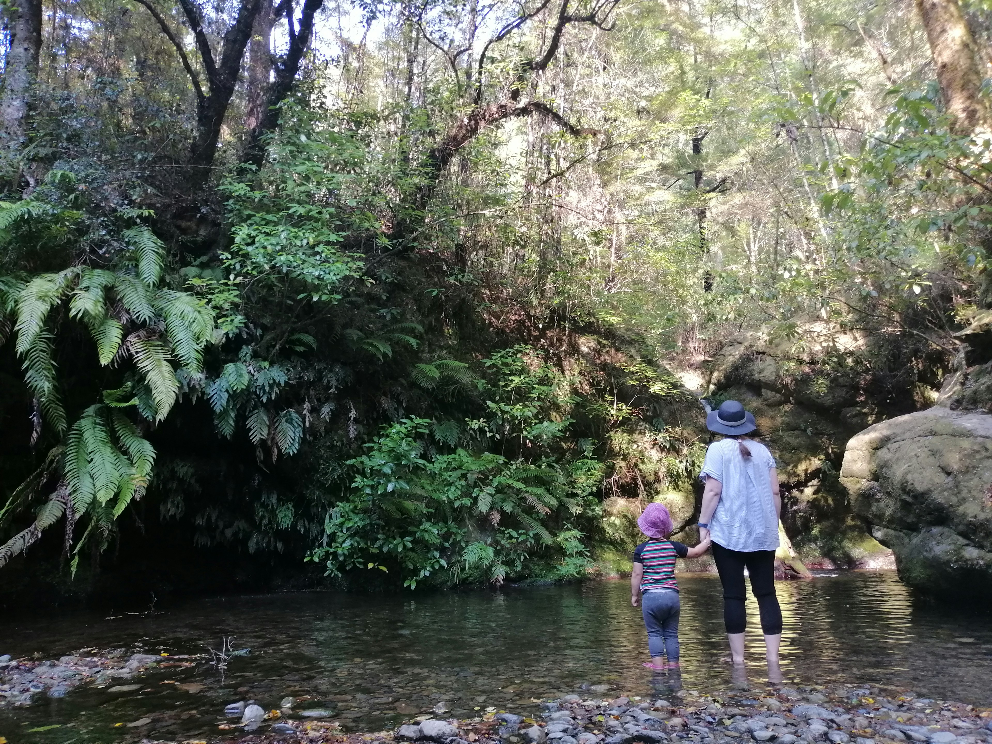 Author Elen Turner and her daughter hold hands in a shallow body of water; both are looking into green woodland