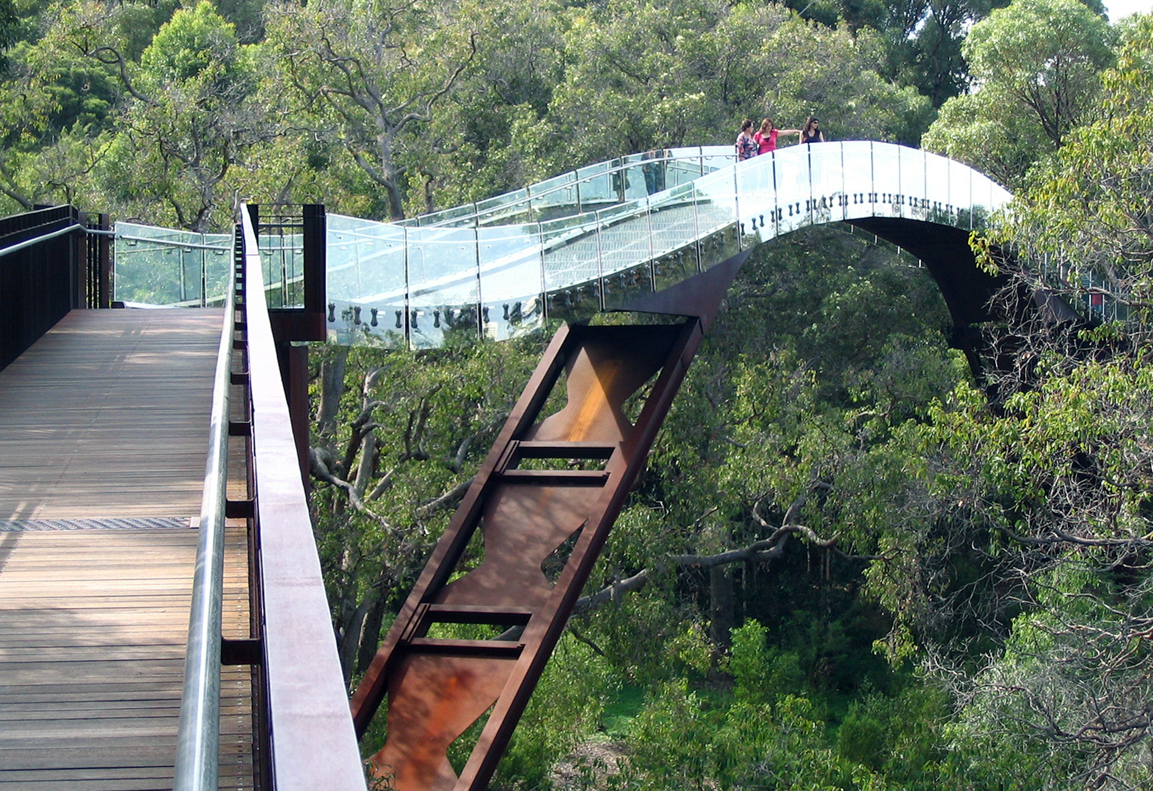 Treetop views along the Lotterywest Federation Walkway in Perth's Kings Park. Image by D. Coetzee / CC BY 2.0