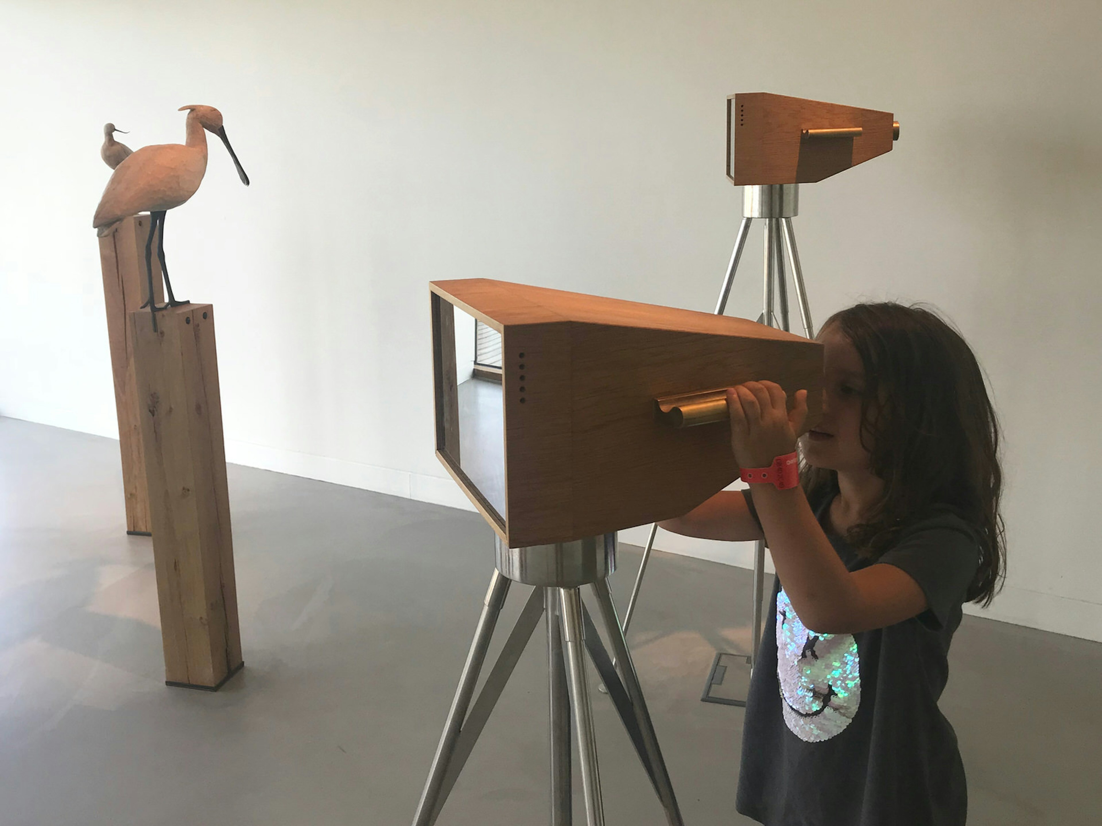 A young girl looks into a telescopic device at the the Wadden Sea Centre in Denmark © Abigail Blasi / ϰϲʿ¼