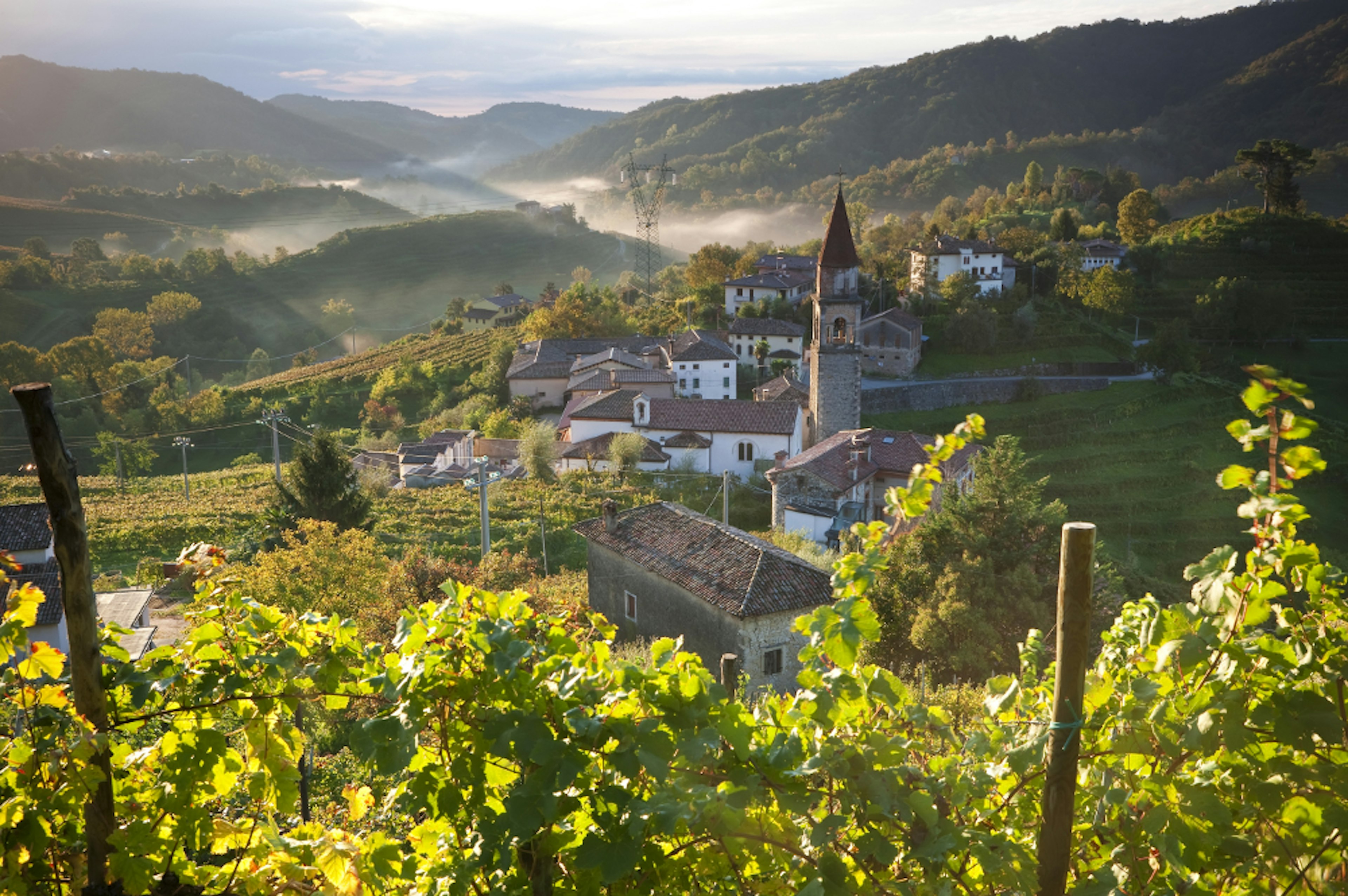 Prosecco vineyards in the Veneto region.