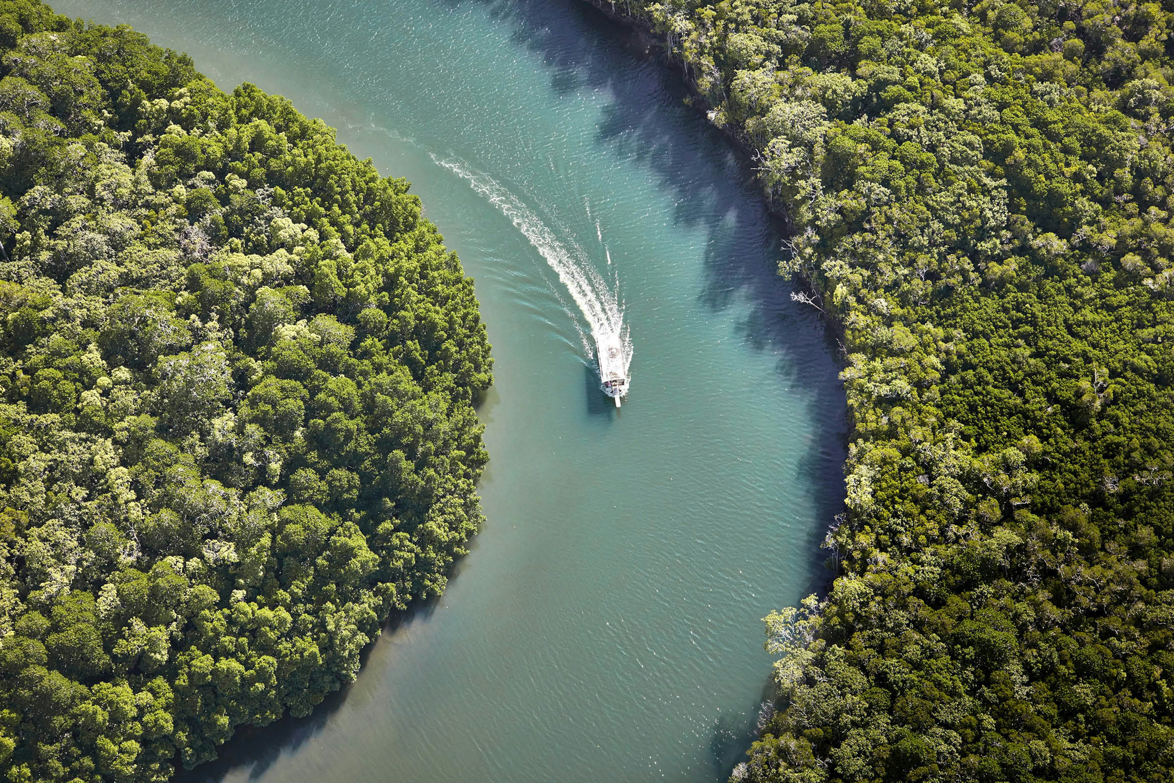 A boat leaves a wake in the Daintree River, seen from above