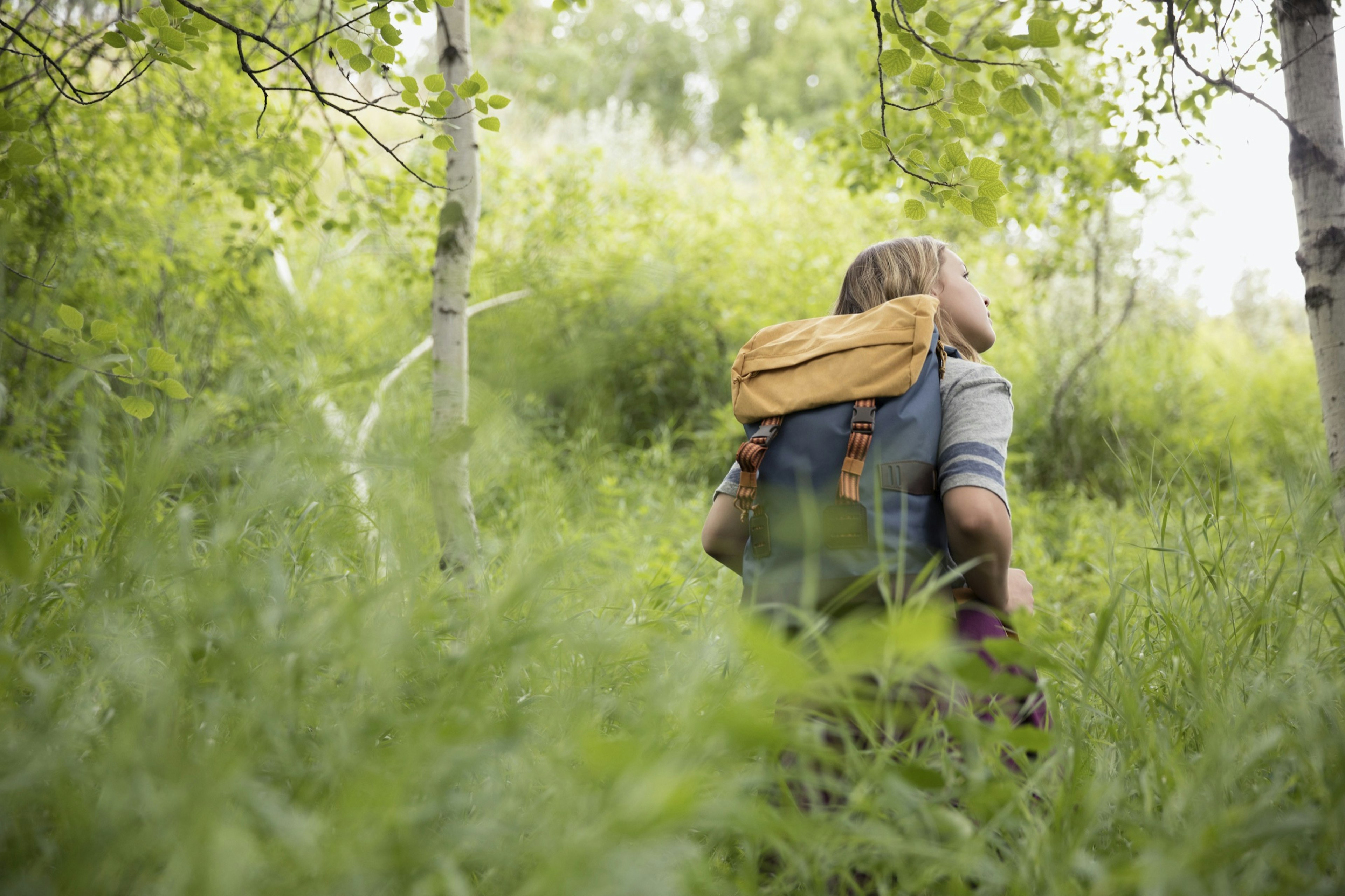 A young woman with a back pack listens to the forest around her; Quiet parks