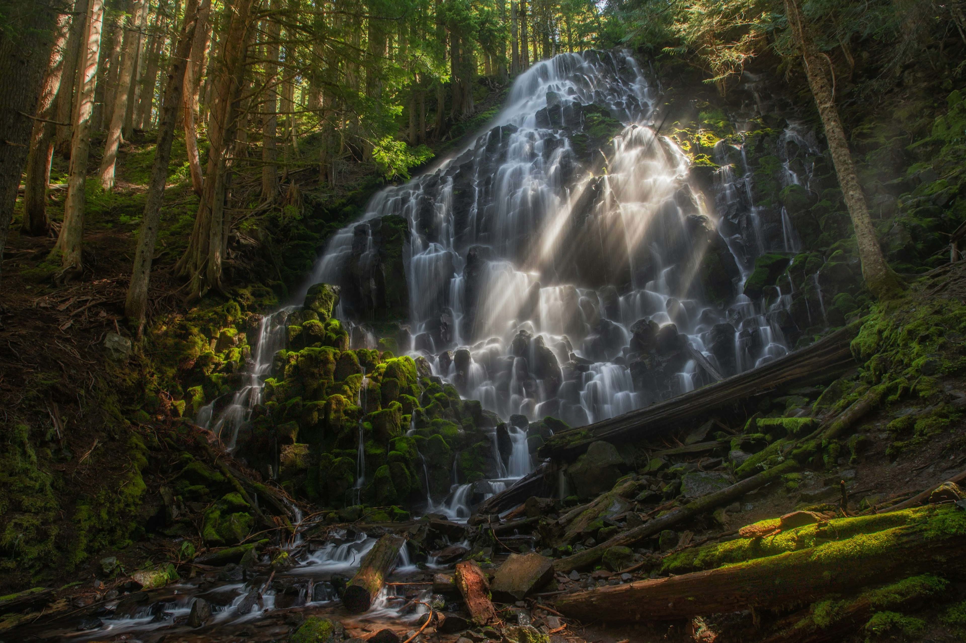 A wide waterfall rolls over a wooded hill in a forest near Portland, Oregon