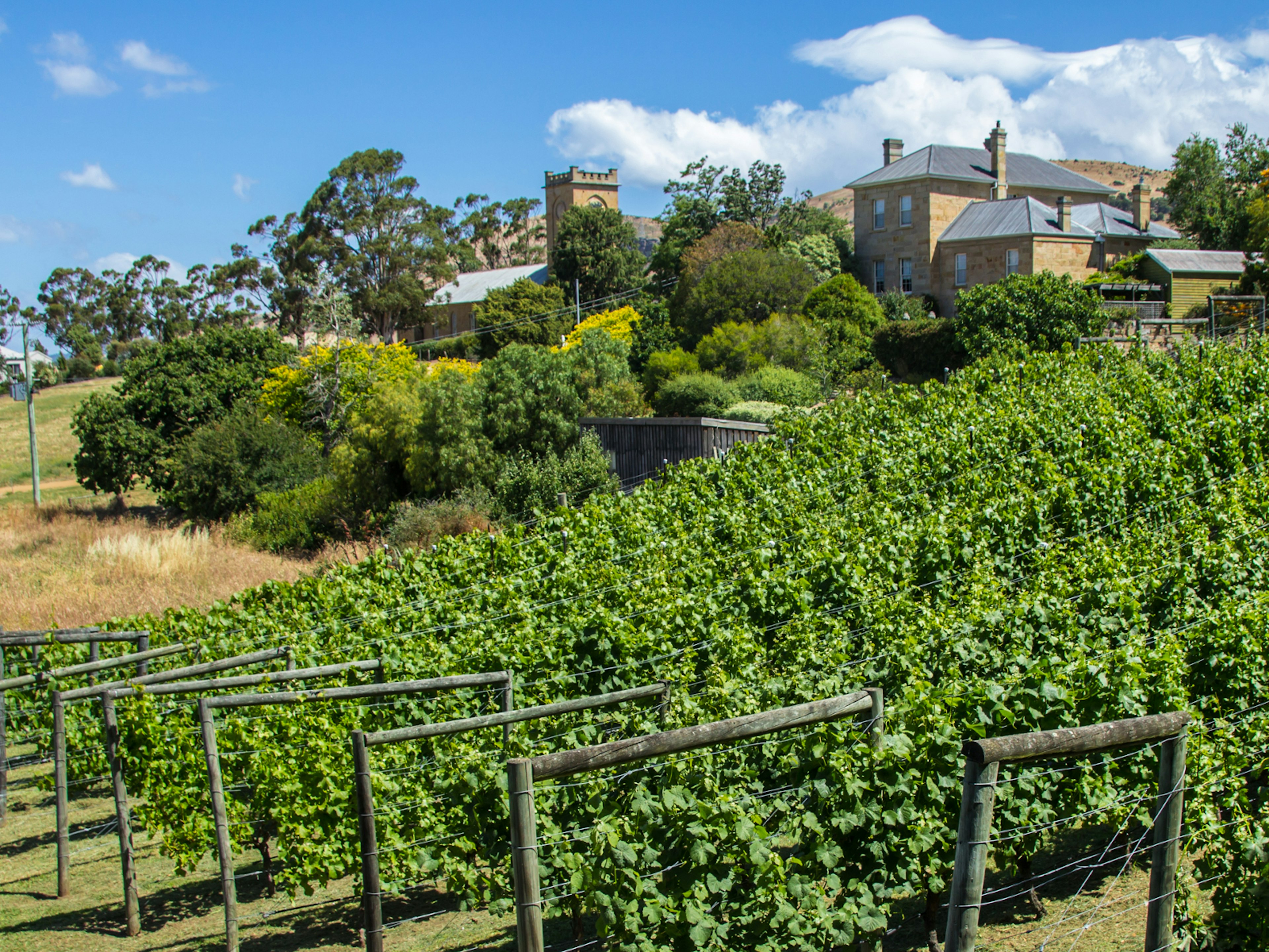 Richmond offers a quite base from which to explore the Coal River Valley's verdant vines © Andrew Balcombe / Shutterstock