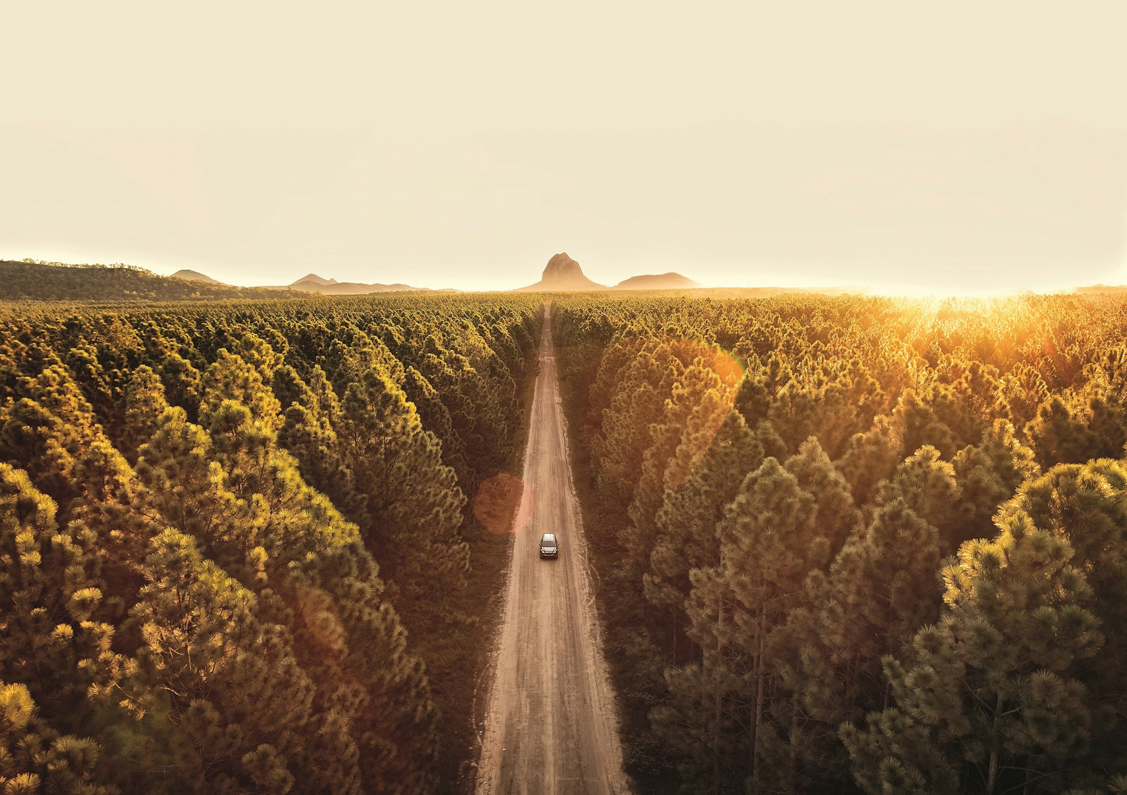 A car drives along a straight road surrounded by trees in Australia © Fly Film / Getty Images