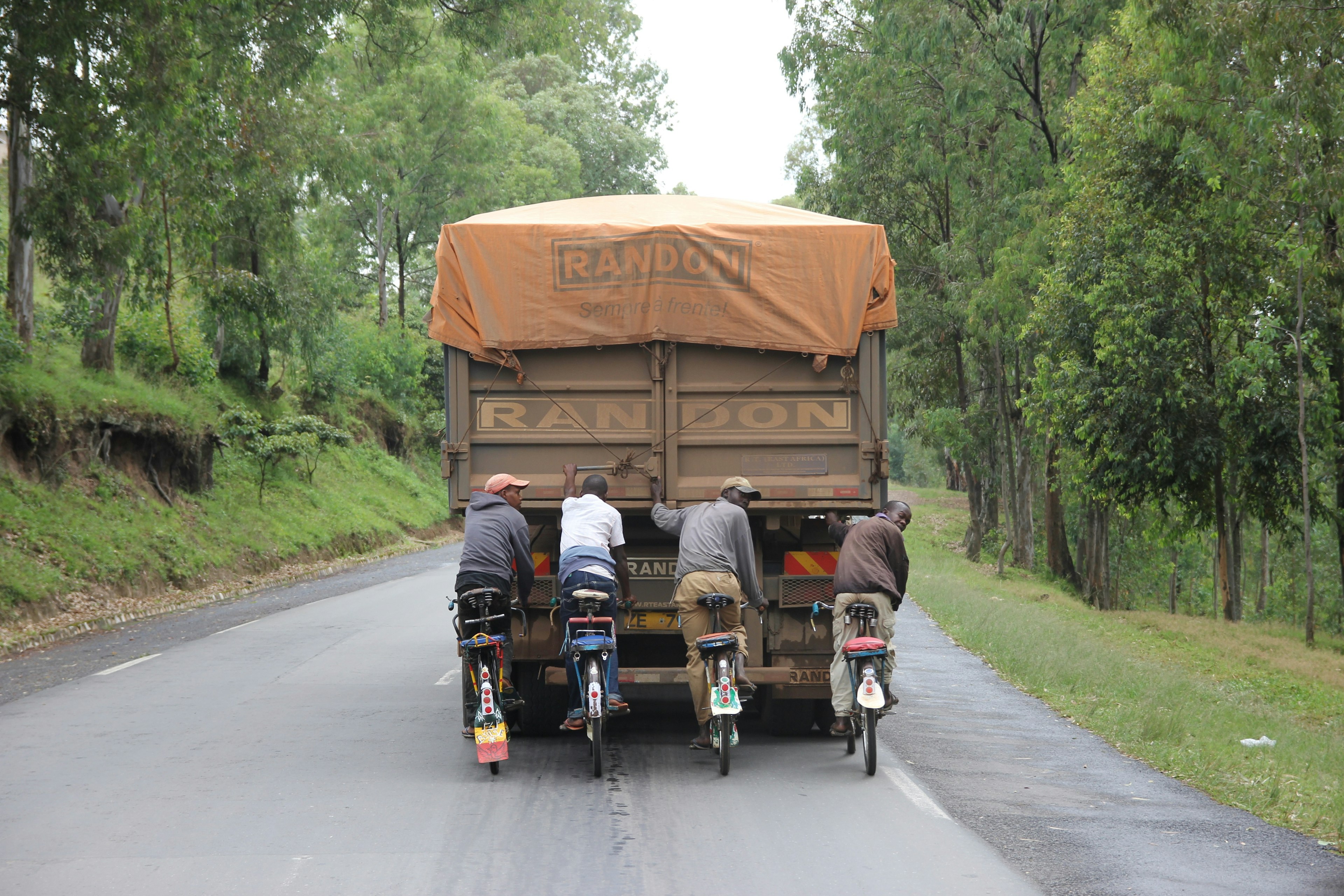 A group of men riding bikes are hitching a ride on the back of a truck. The concrete road they are on is surrounded by trees.