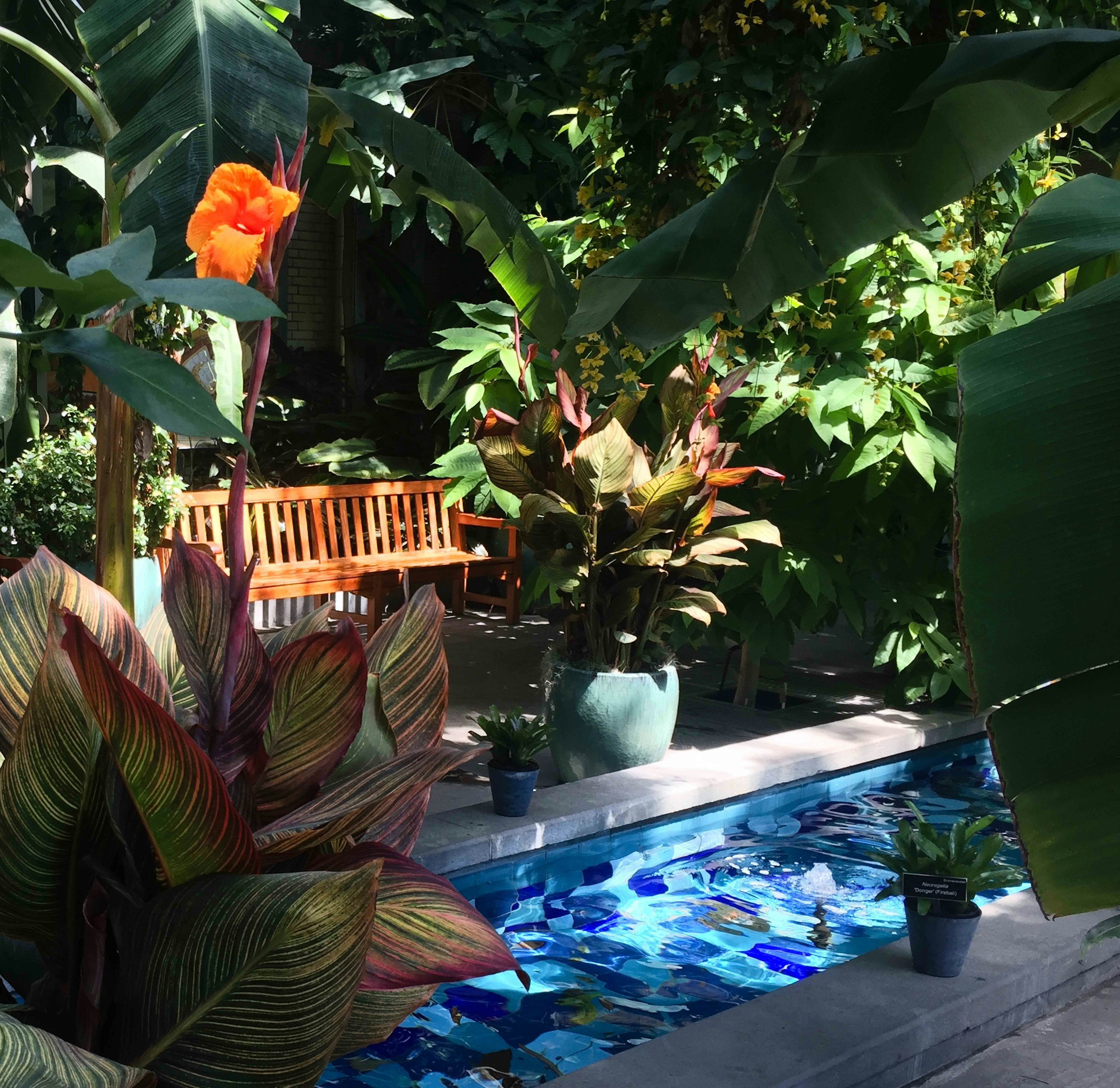 A quiet spot in the Garden Court of the US Botanic Gardens.