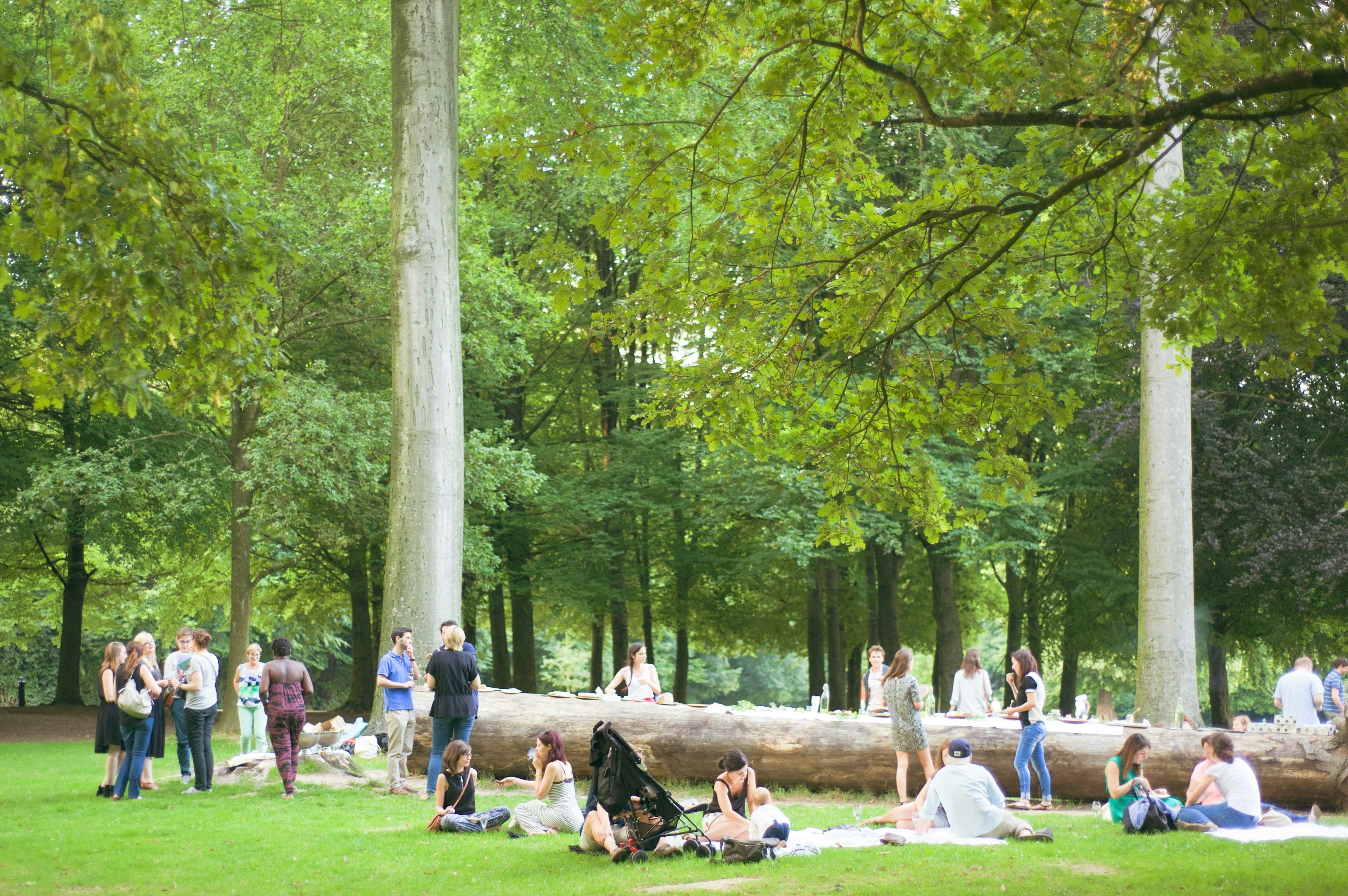 A unique Sauvages event where local delicacies were served on a huge fallen tree © Analia Glogowski / Lonely Planet