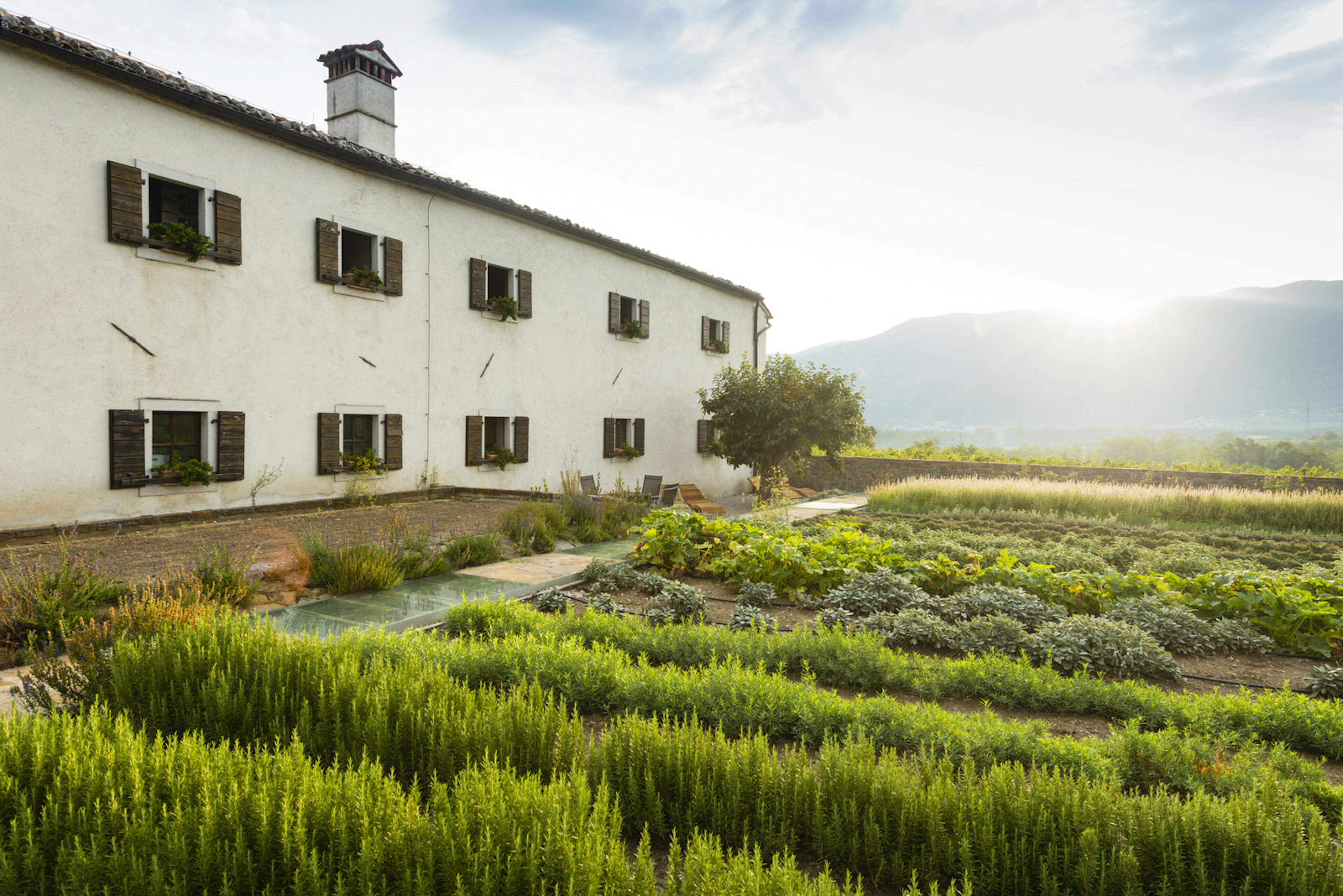 The herb garden at Majerija restaurant © Justin Foulkes / Lonely Planet