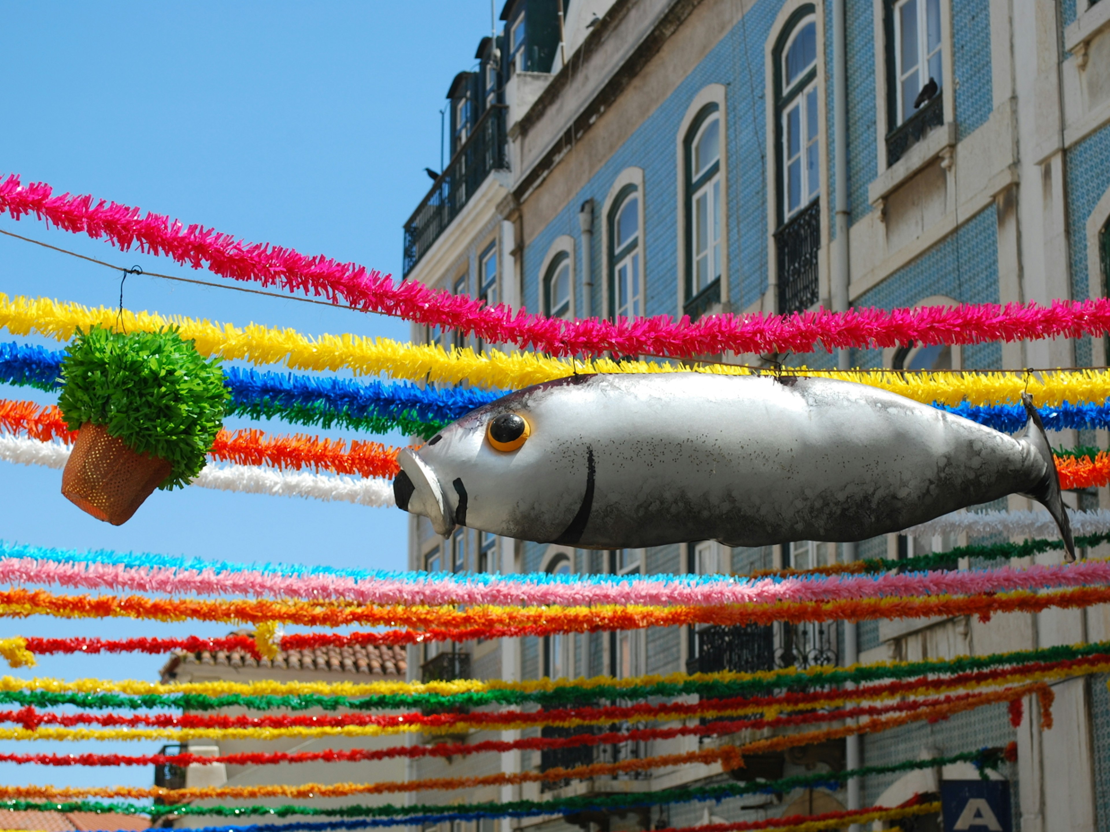 A street decoration of a sardine and basil plant for the feast of St Anthony in Lisbon, Portugal