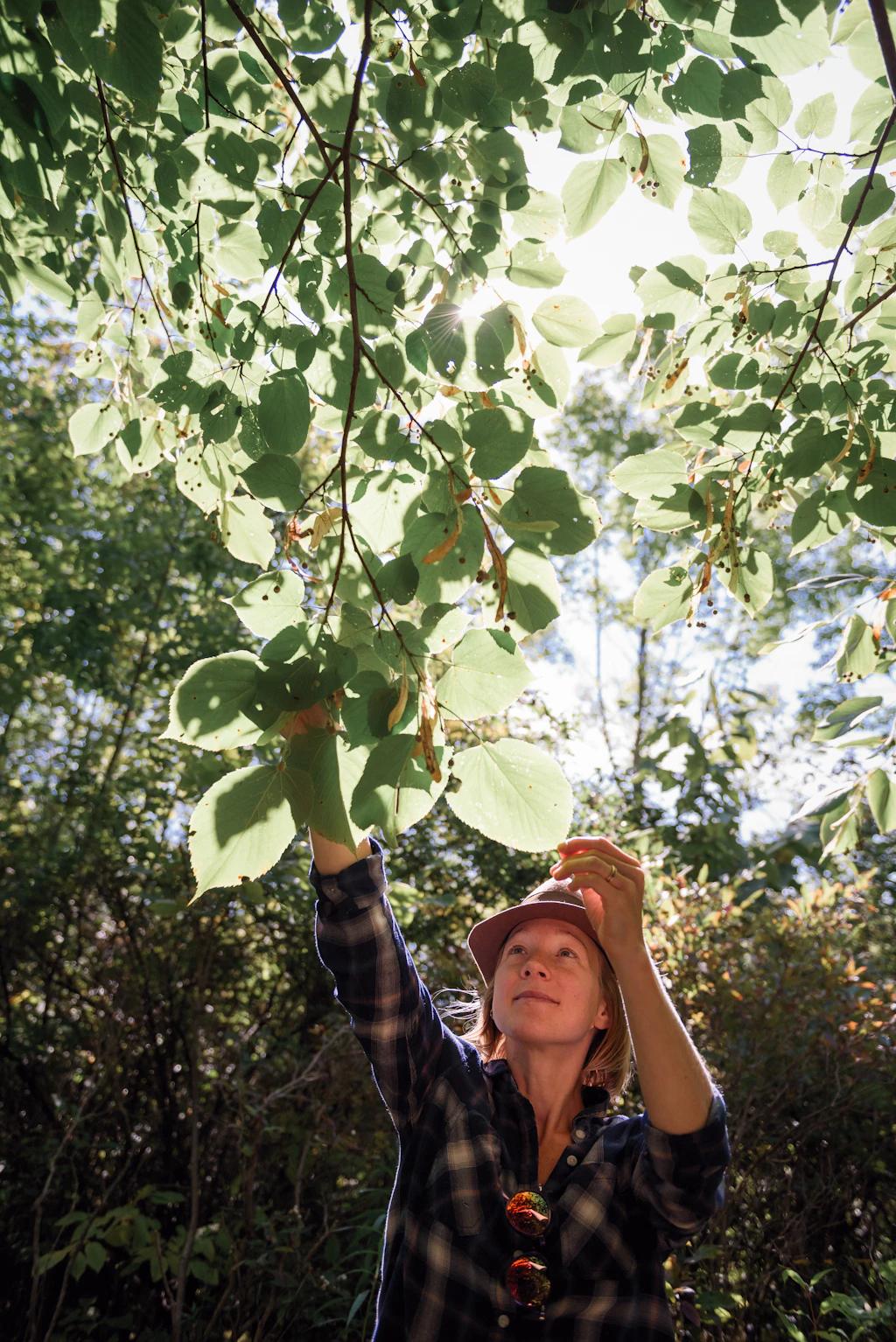 8 best places to go foraging in the US in 2022 - Lonely Planet