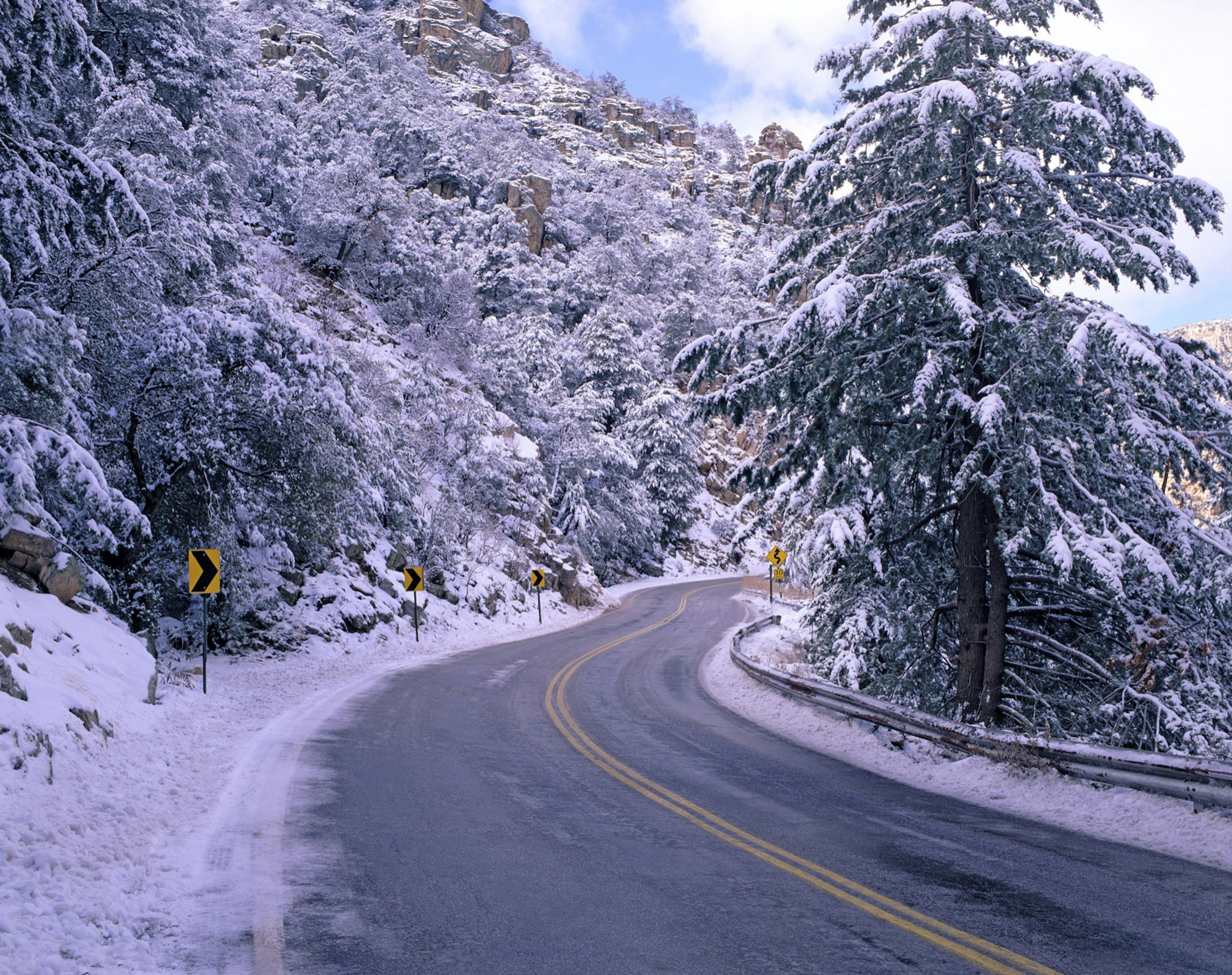 A road turns through a snowy mountain setting, with evergreen trees on the sides of the road, near Tucson