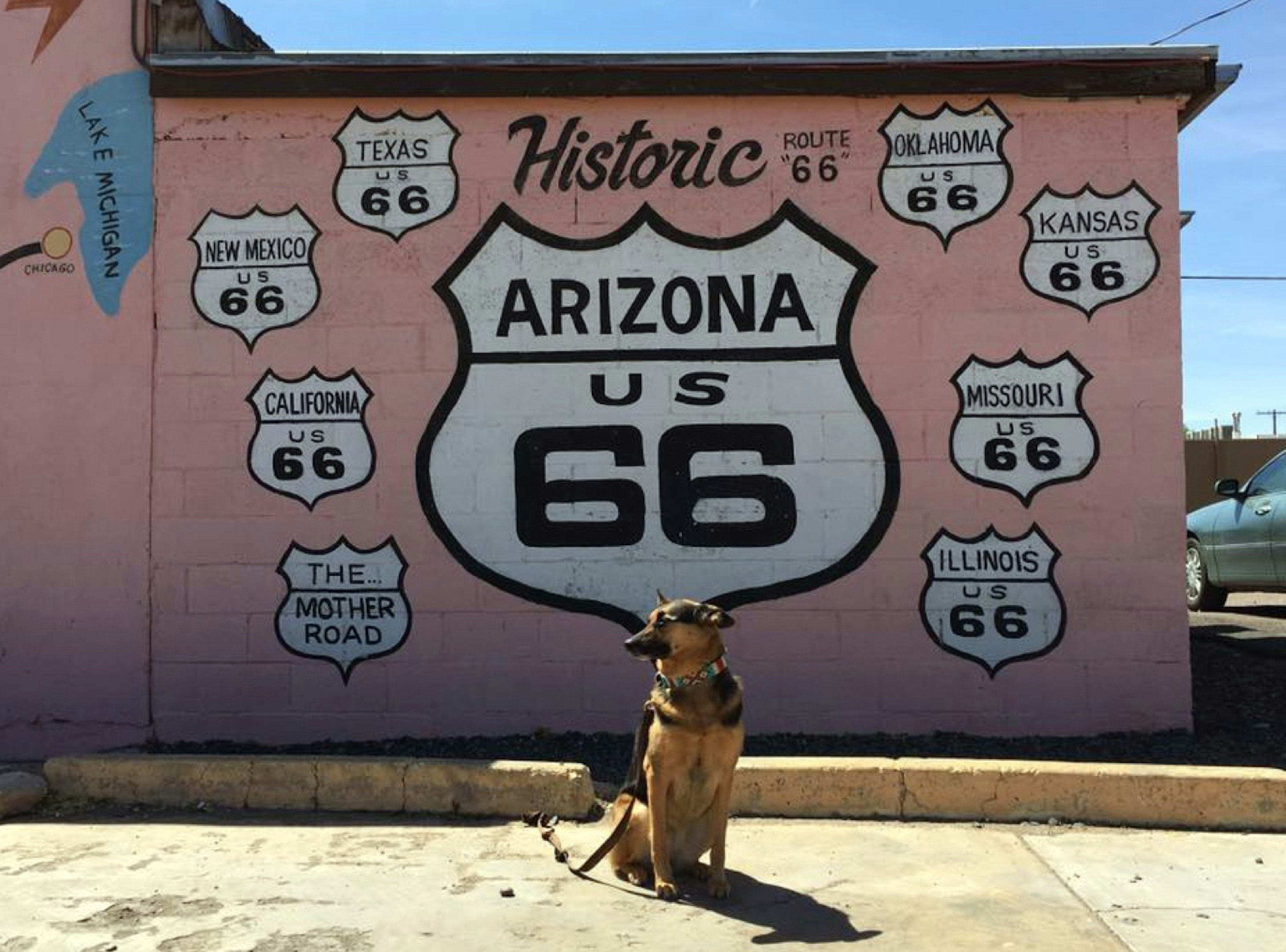 A german shepherd stands in front of a pink cinder block wall painted with a mural featuring the iconic Route 66 highway marker; Travel with dogs