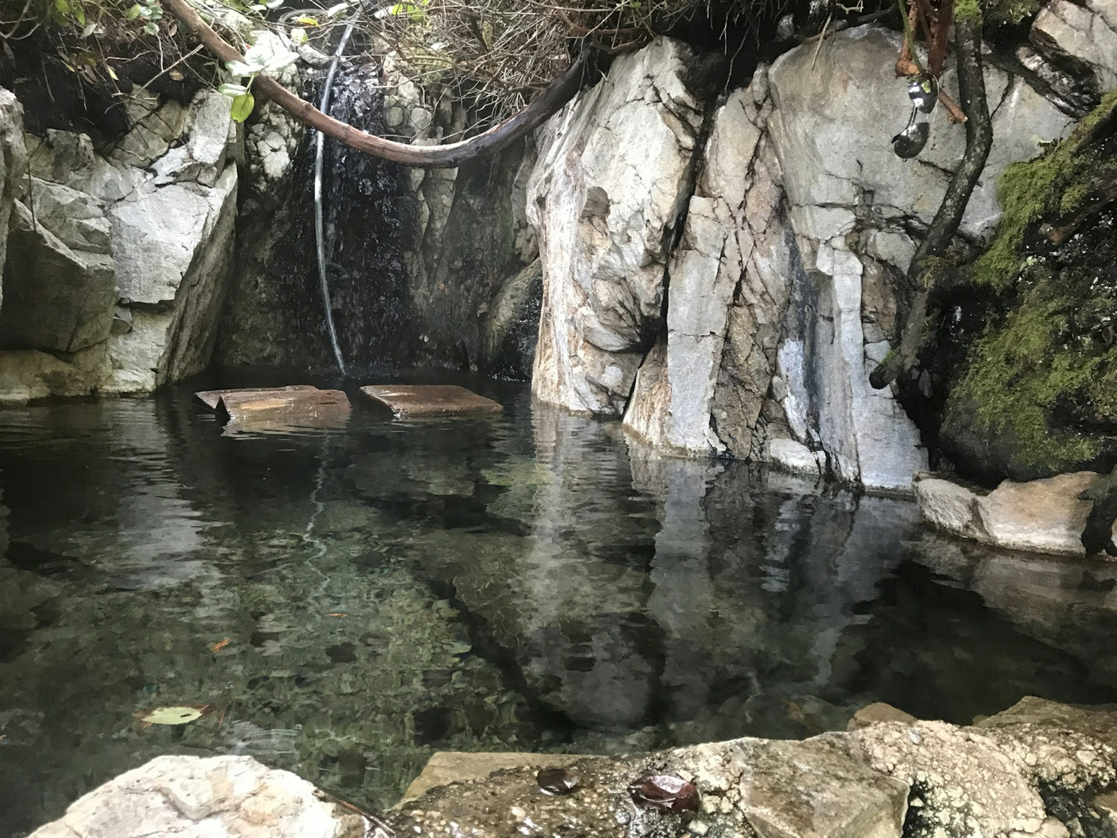 Blocks of wood, just right for resting a beverage on, float in a clear hot spring in British Columbia.