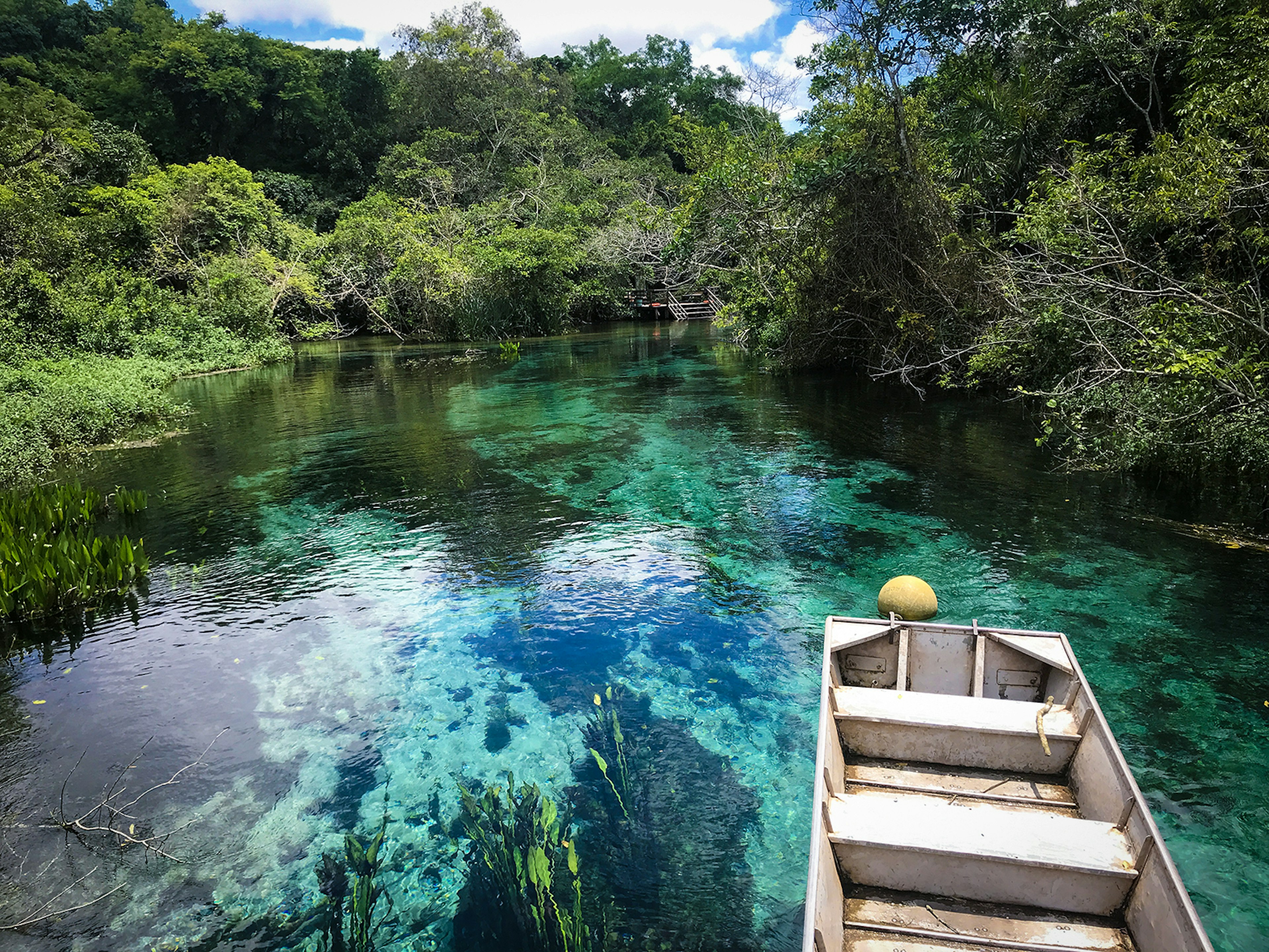 A flat-bottomed canoe floats on a clear, blue river lined with savanna trees