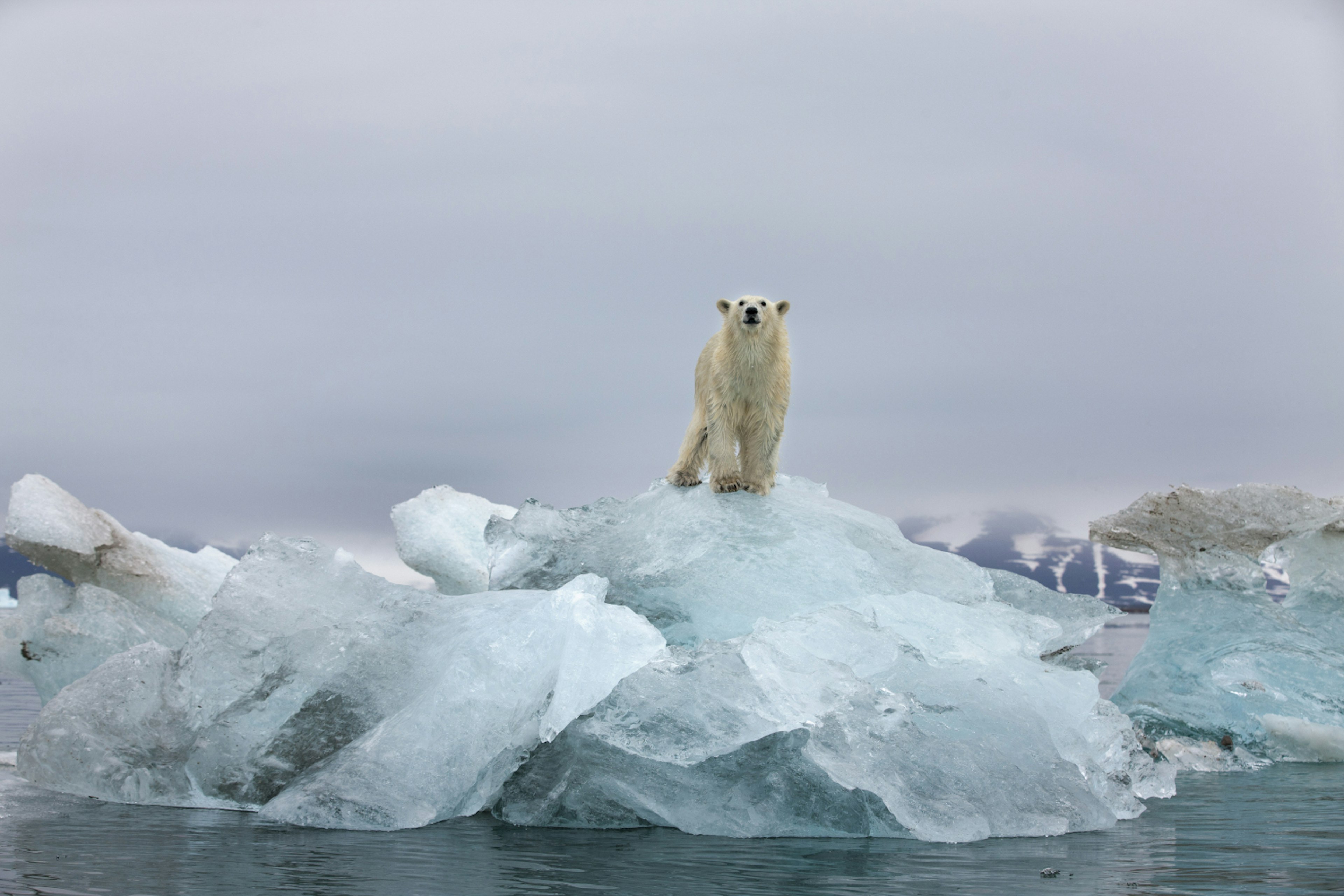 x-default
Horizontal, Norway, Outdoors, Spitsbergen Island, Svalbard