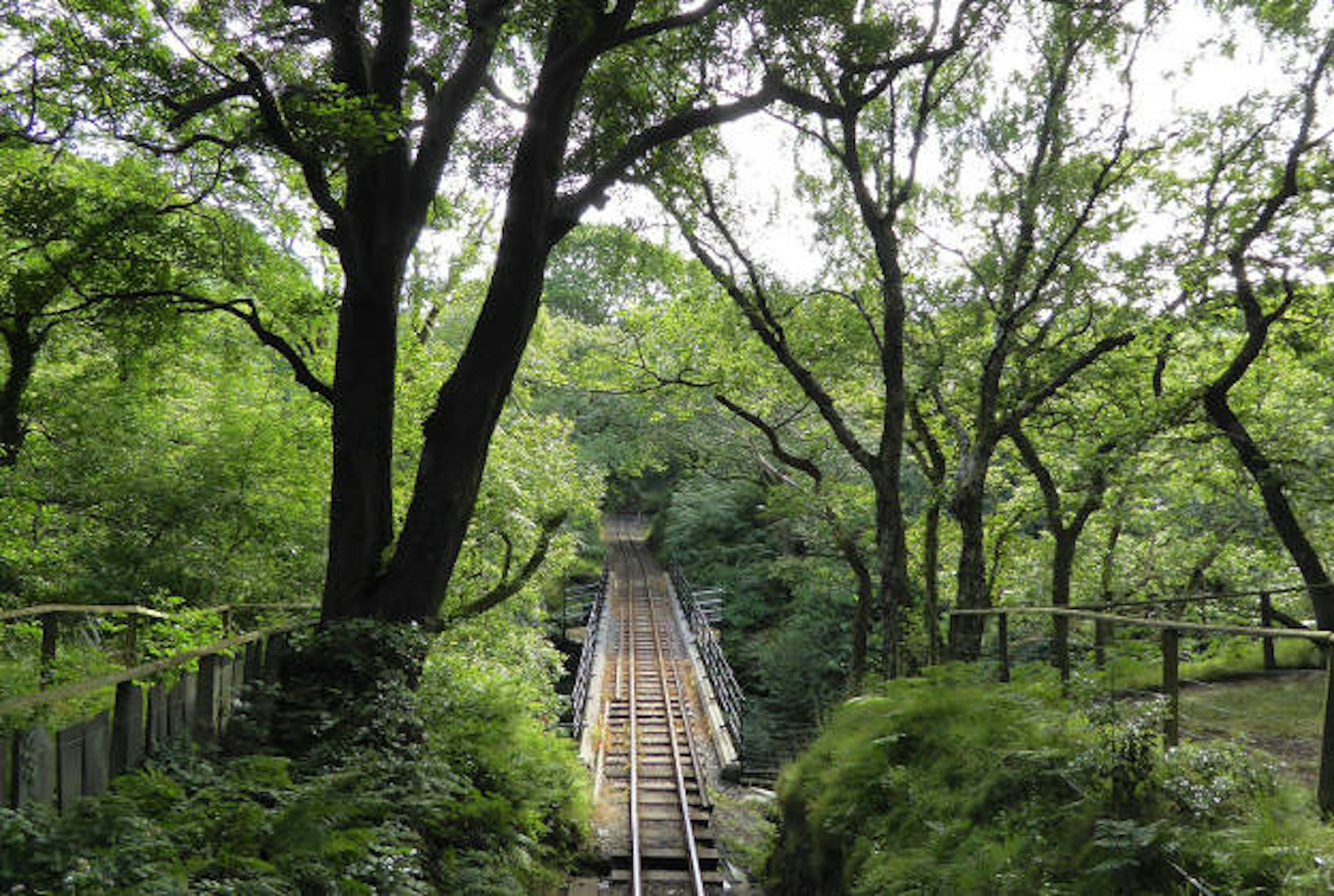 A section of the Talyllyn line.