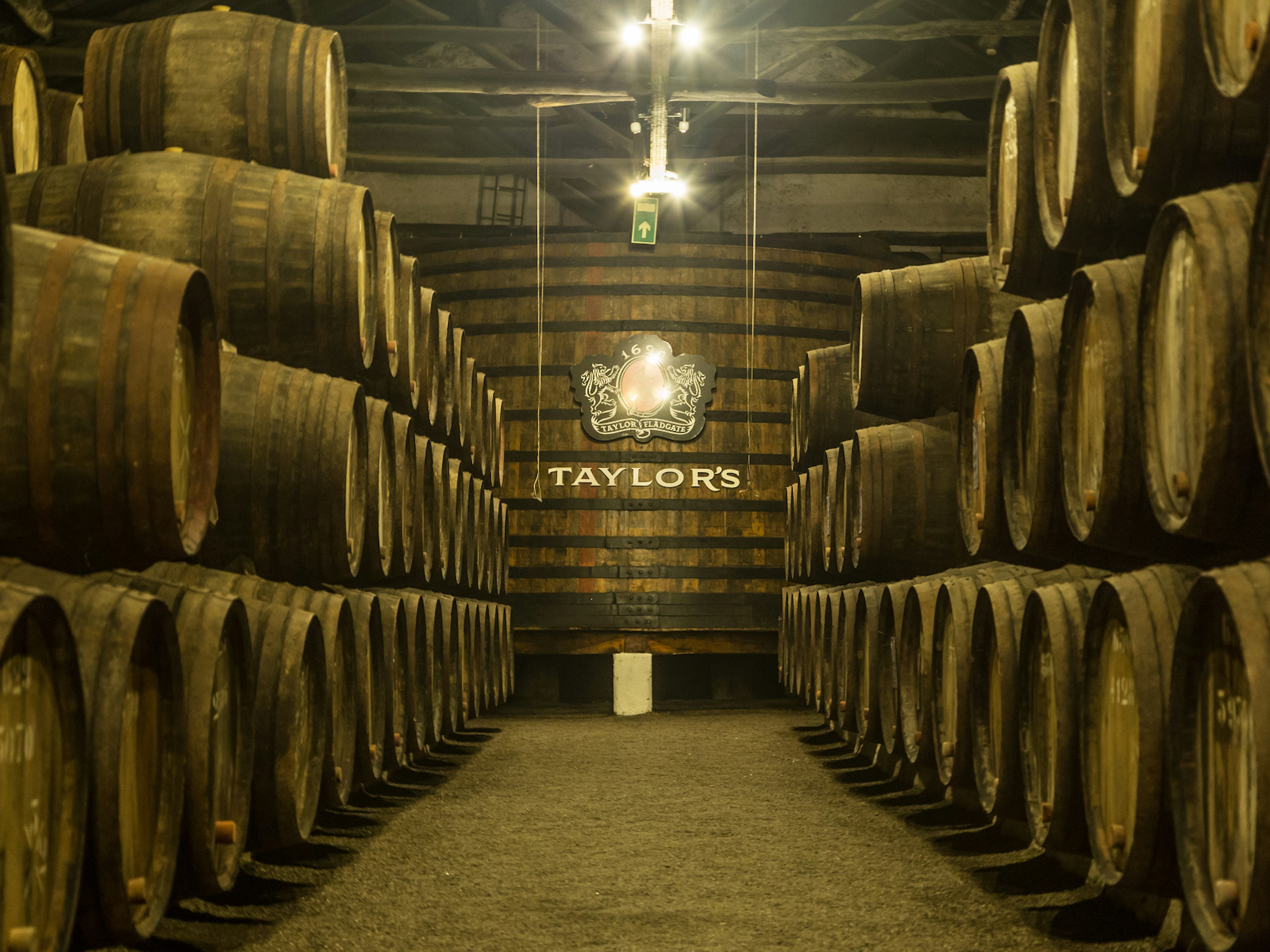 Rows of port barrels in Taylor's wine cellar in Porto, Portugal