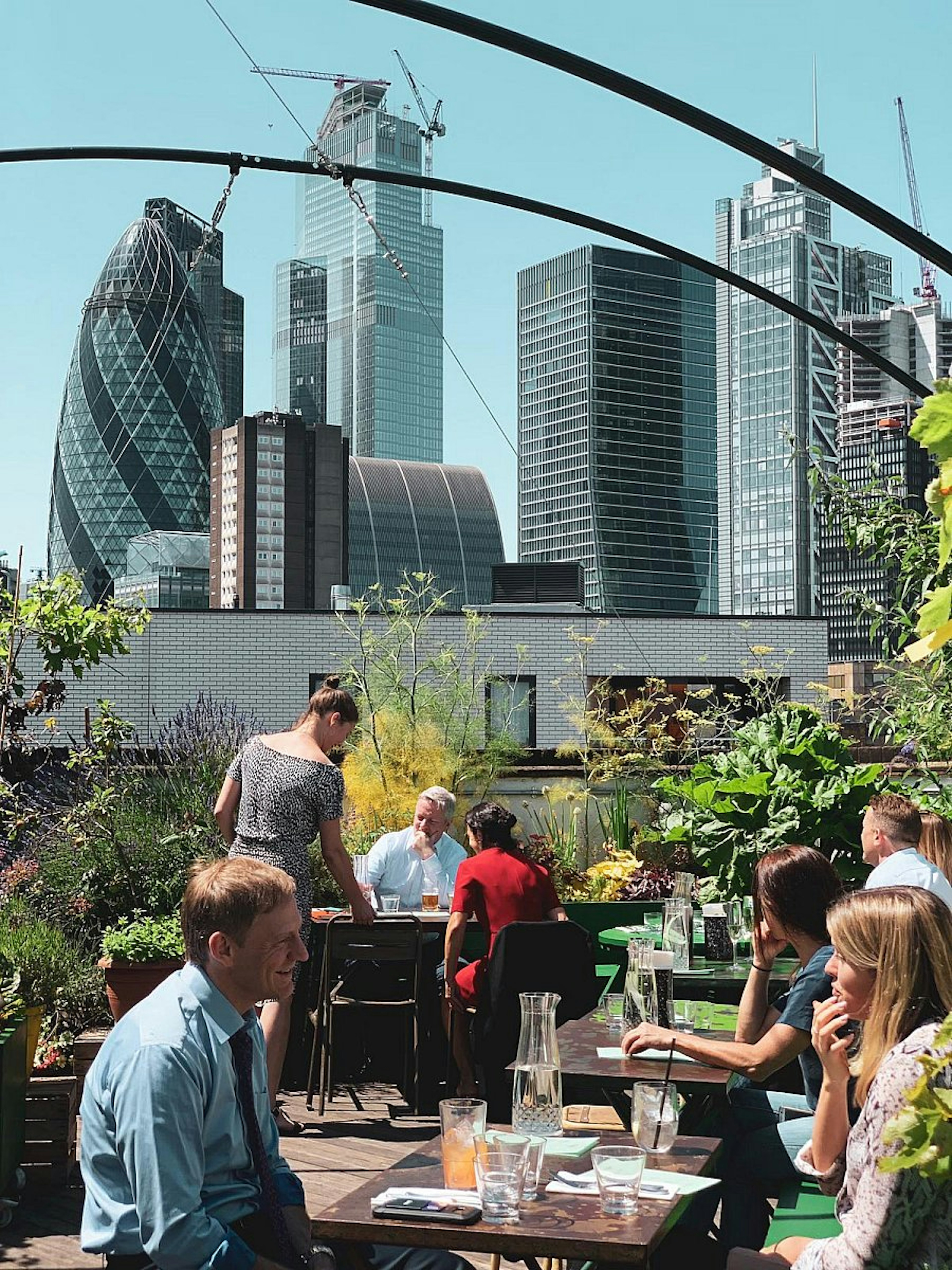 People drinking on the verdant rooftop of the Culpepr on a sunny day; there is view of the futuristic City of London skyline beyond, including the Gherkin building.