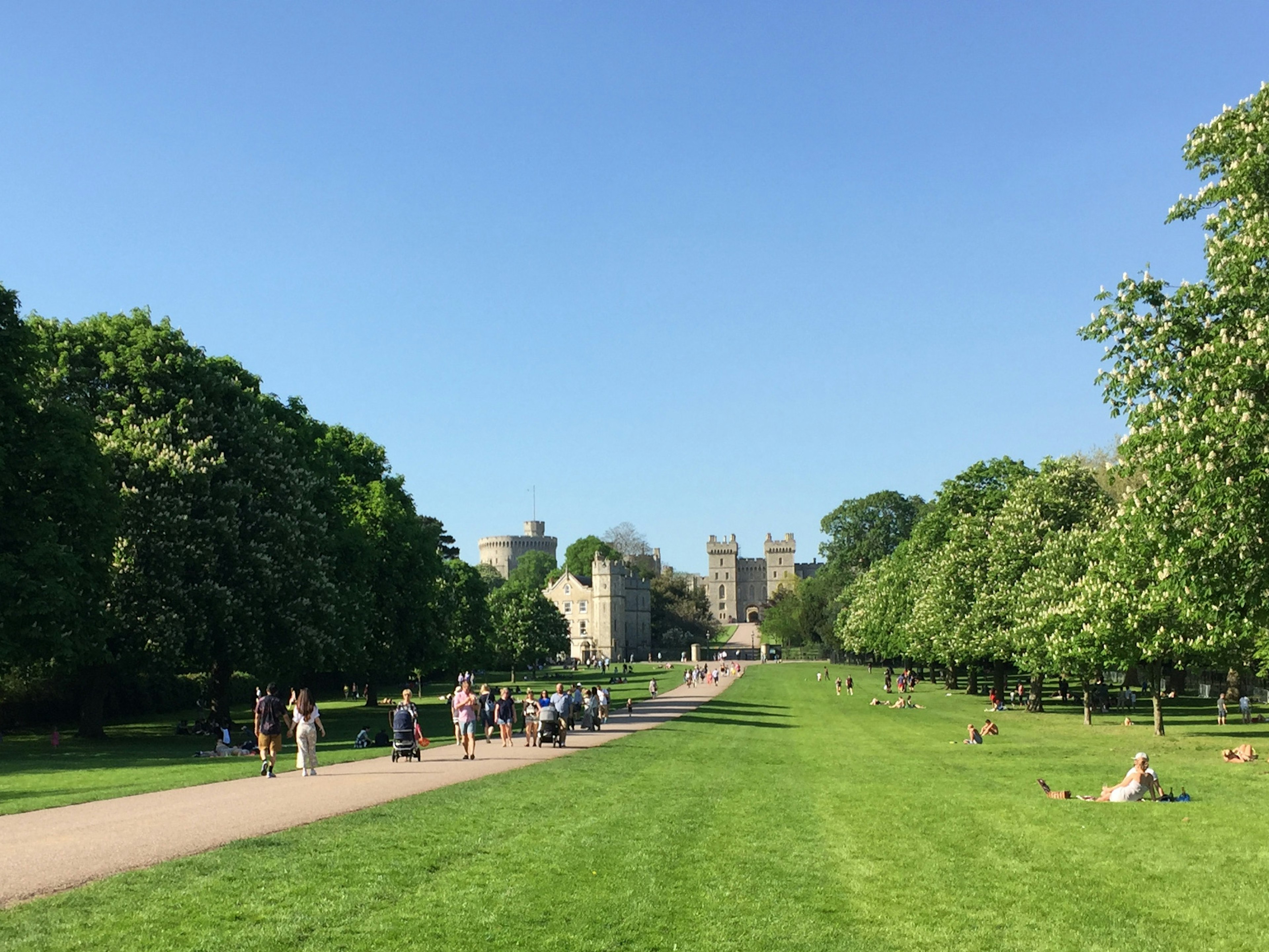 The Long Walk, with Windsor Castle in the background © Will Jones / iBestTravel