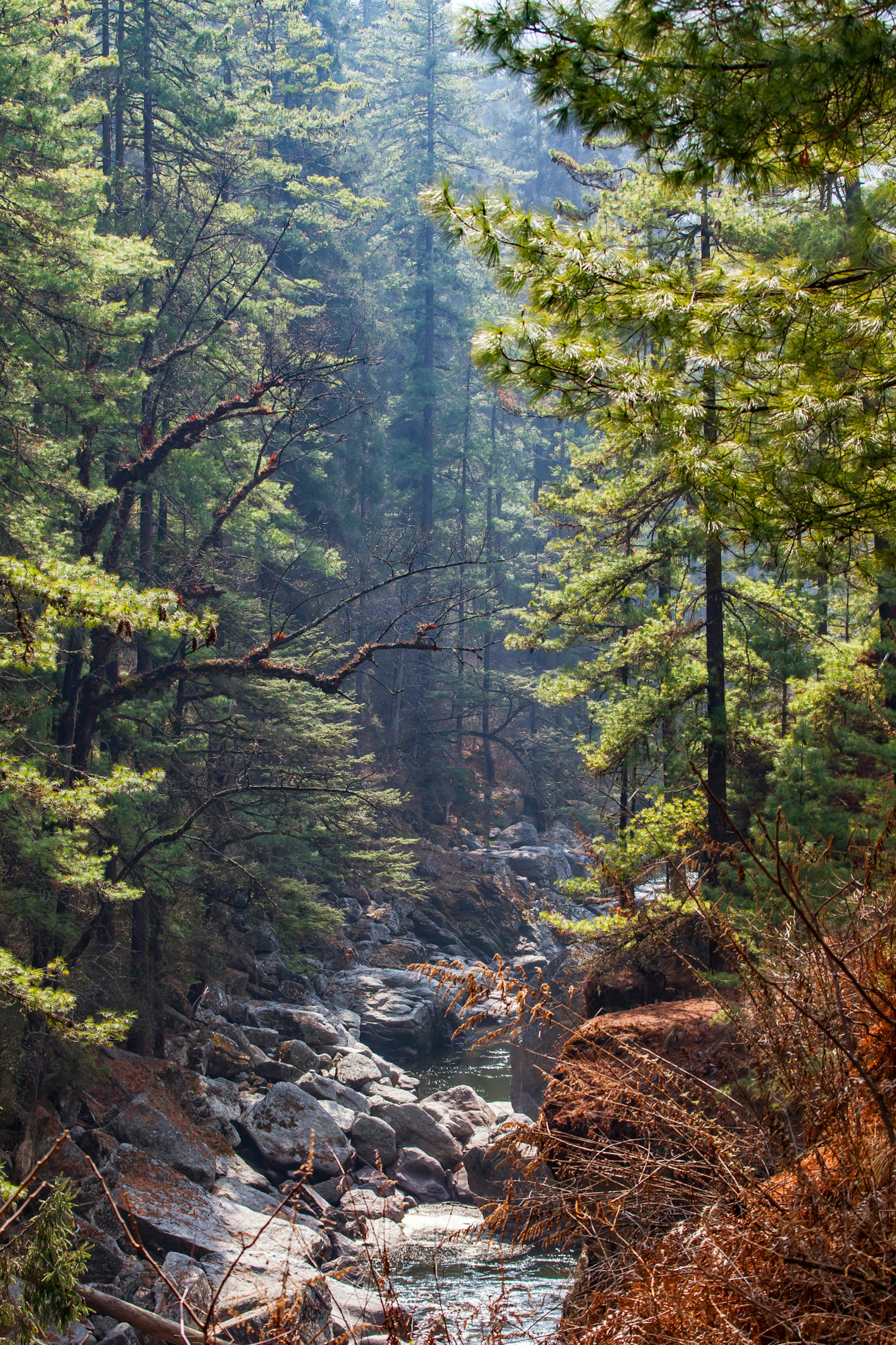 The forested ravine that leads from Membartsho