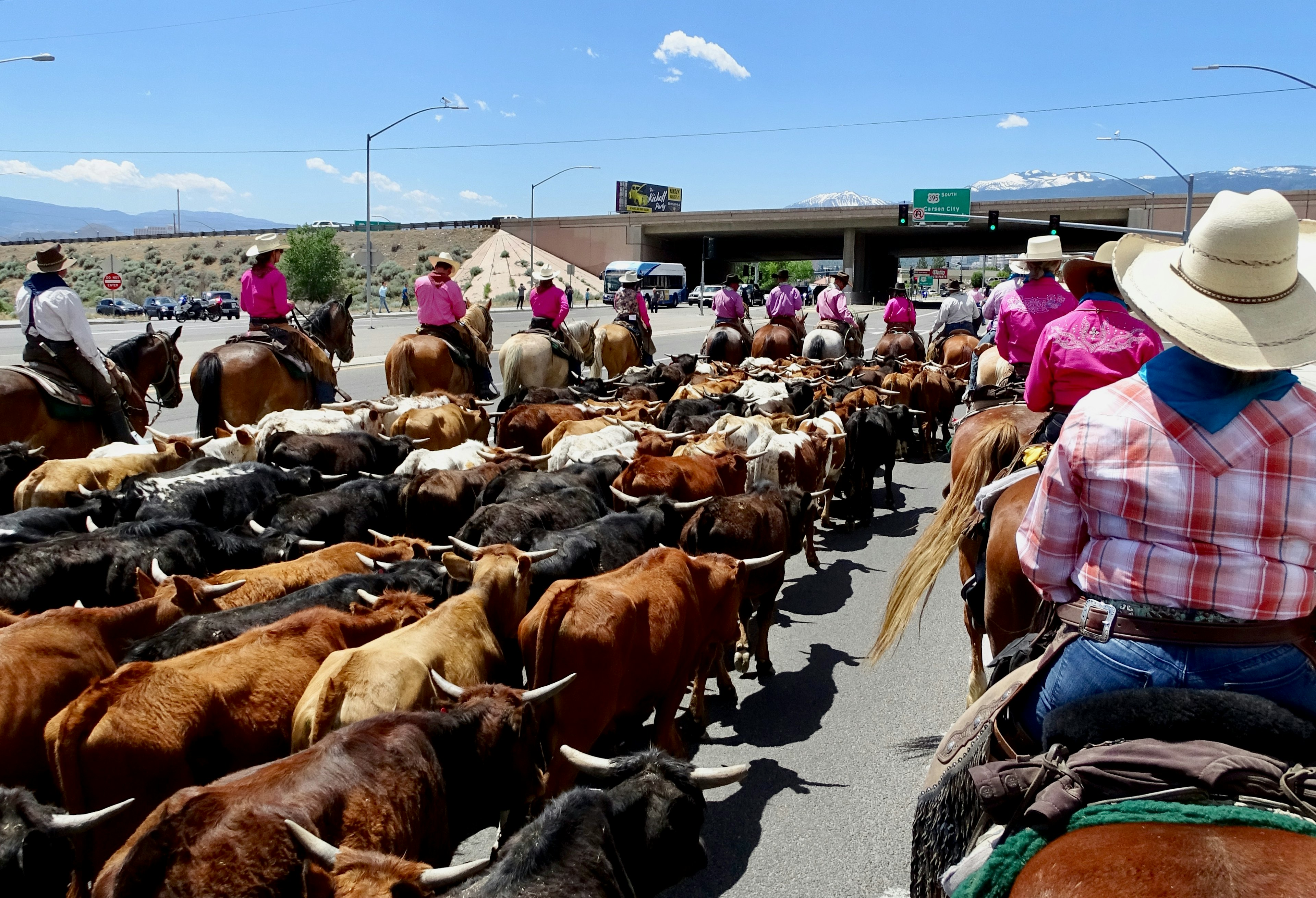 Horseback riders walk down a street into Reno, Nevada