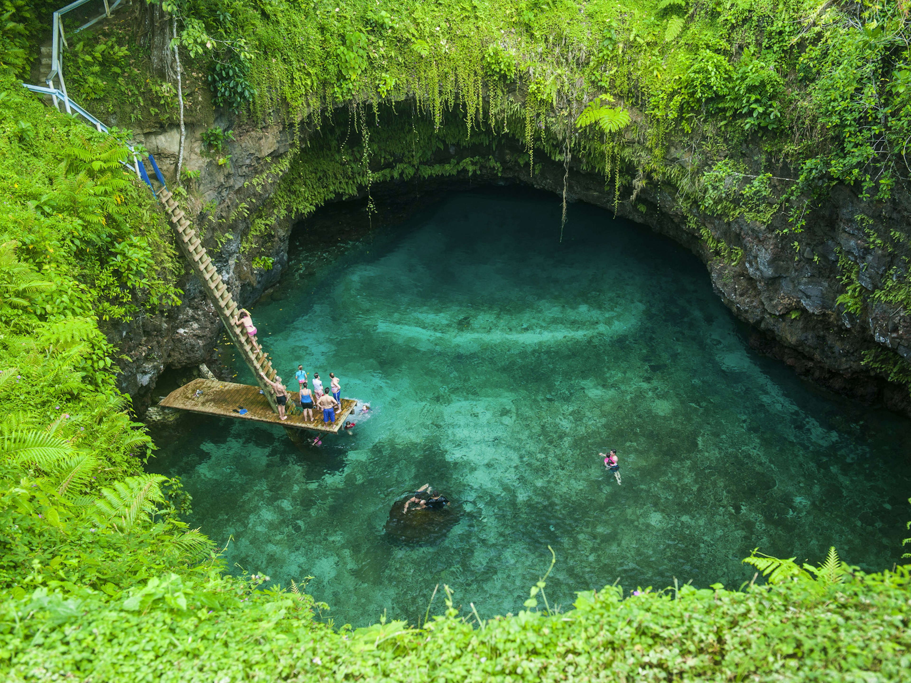 People diving off the jetty and clambering up the wooden stairs of a sink hole surrounded by jungle