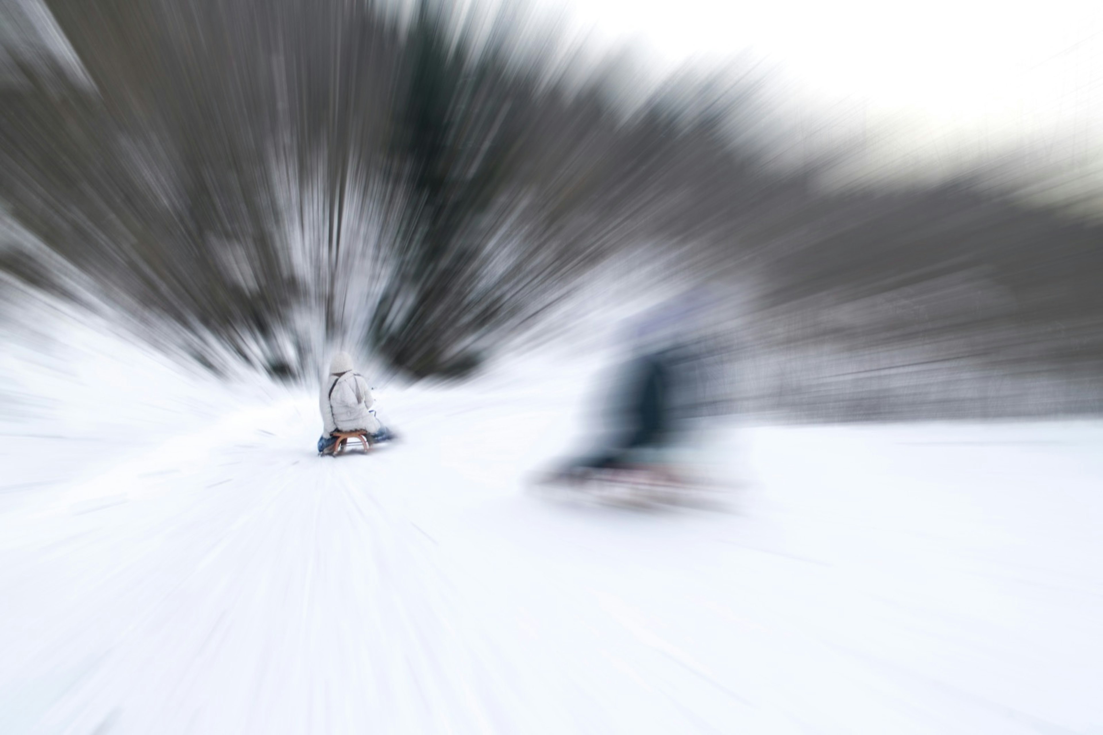 A dad and child toboggan very fast in Switzerland