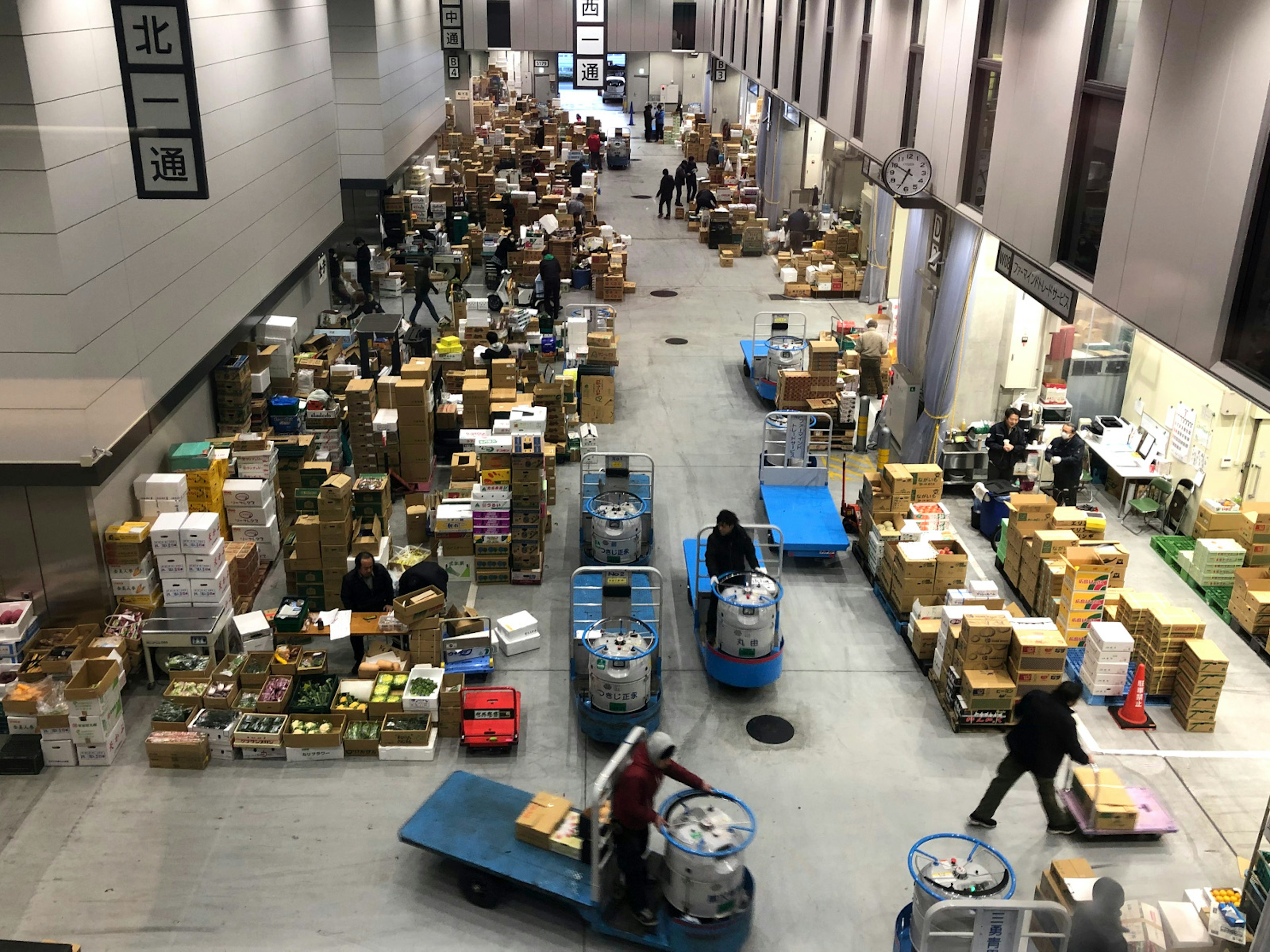 Stalls stretch down the great hall of Toyosu's Fruit & Vegetable Market