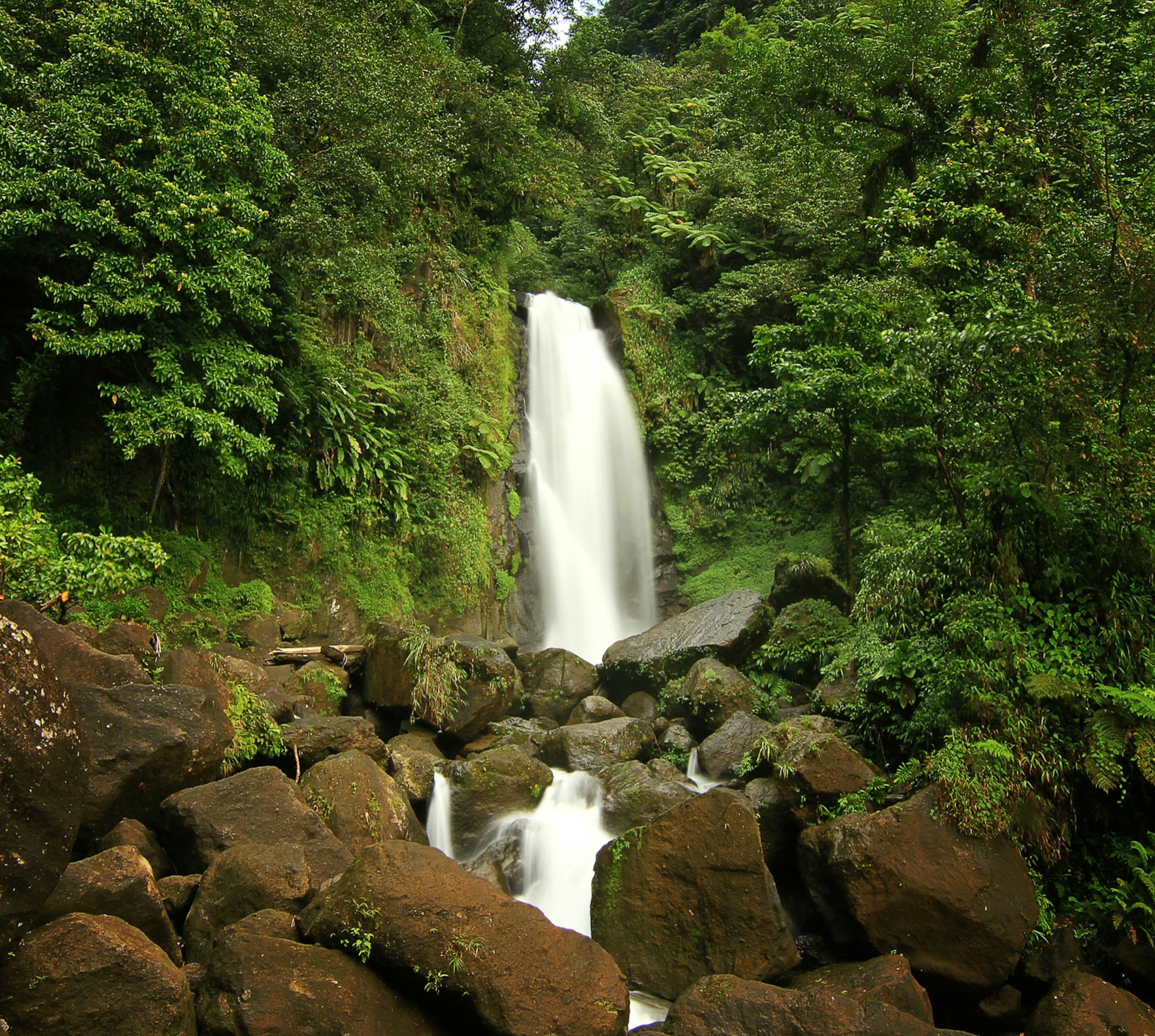 One of the twin waterfalls found at the end of the Trafalgar Falls hike in Dominica