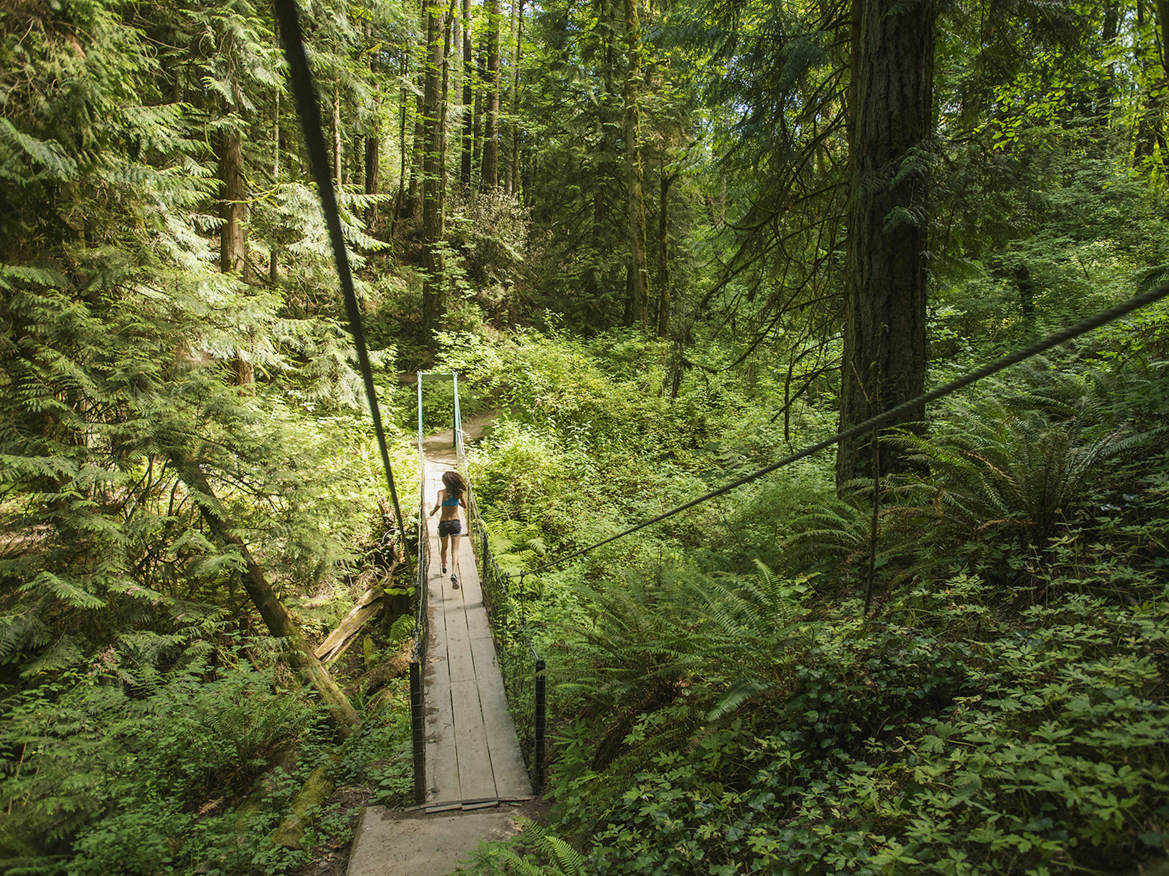 People Vitality Agility Motion Aspirations Shorts Challenge Life
USA, Oregon, Portland, Rear view of young woman jogging in forest