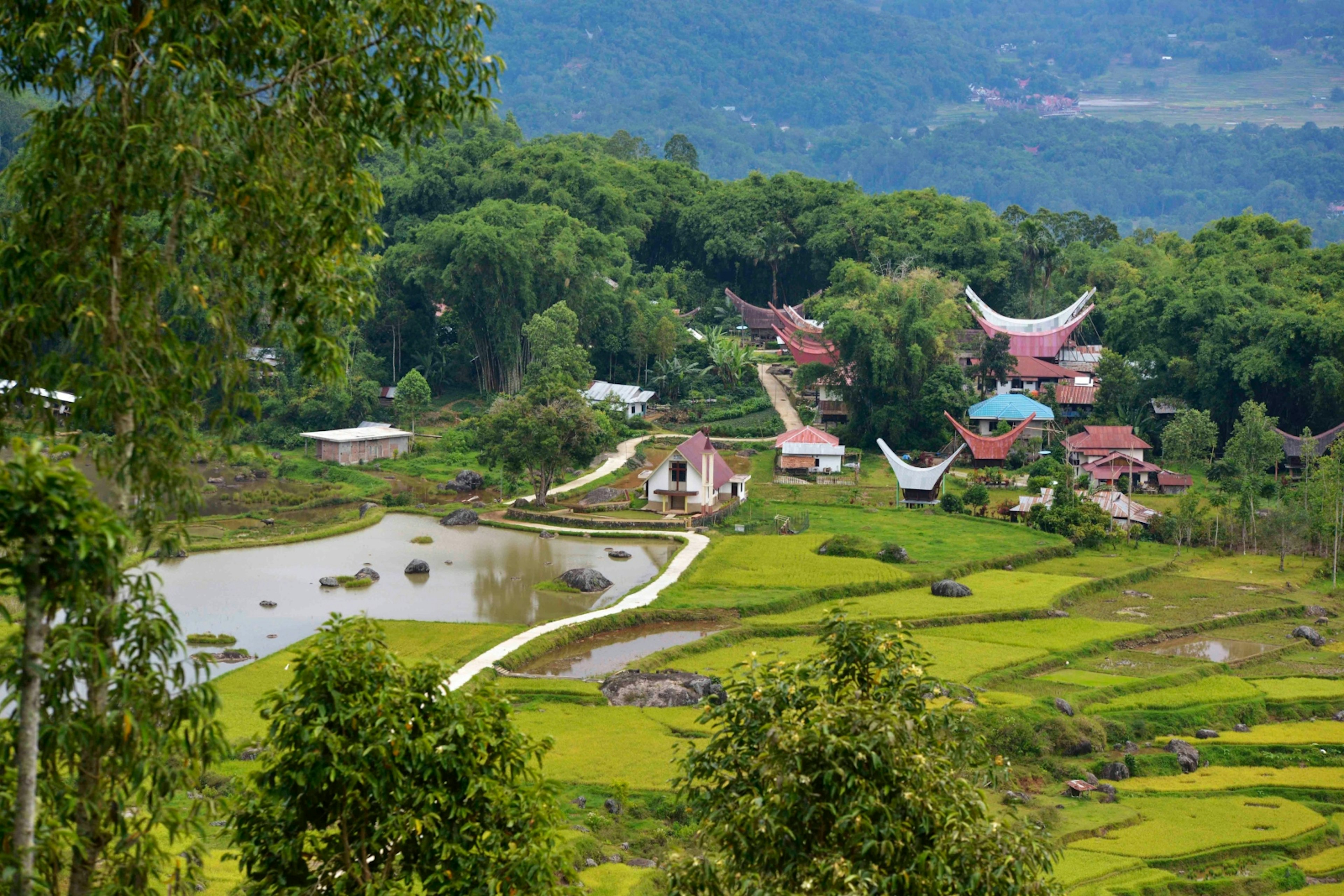 A view of the paddies during a trek through Tana Toraja in Sulawesi, Indonesia © Mark Eveleigh / ϰϲʿ¼