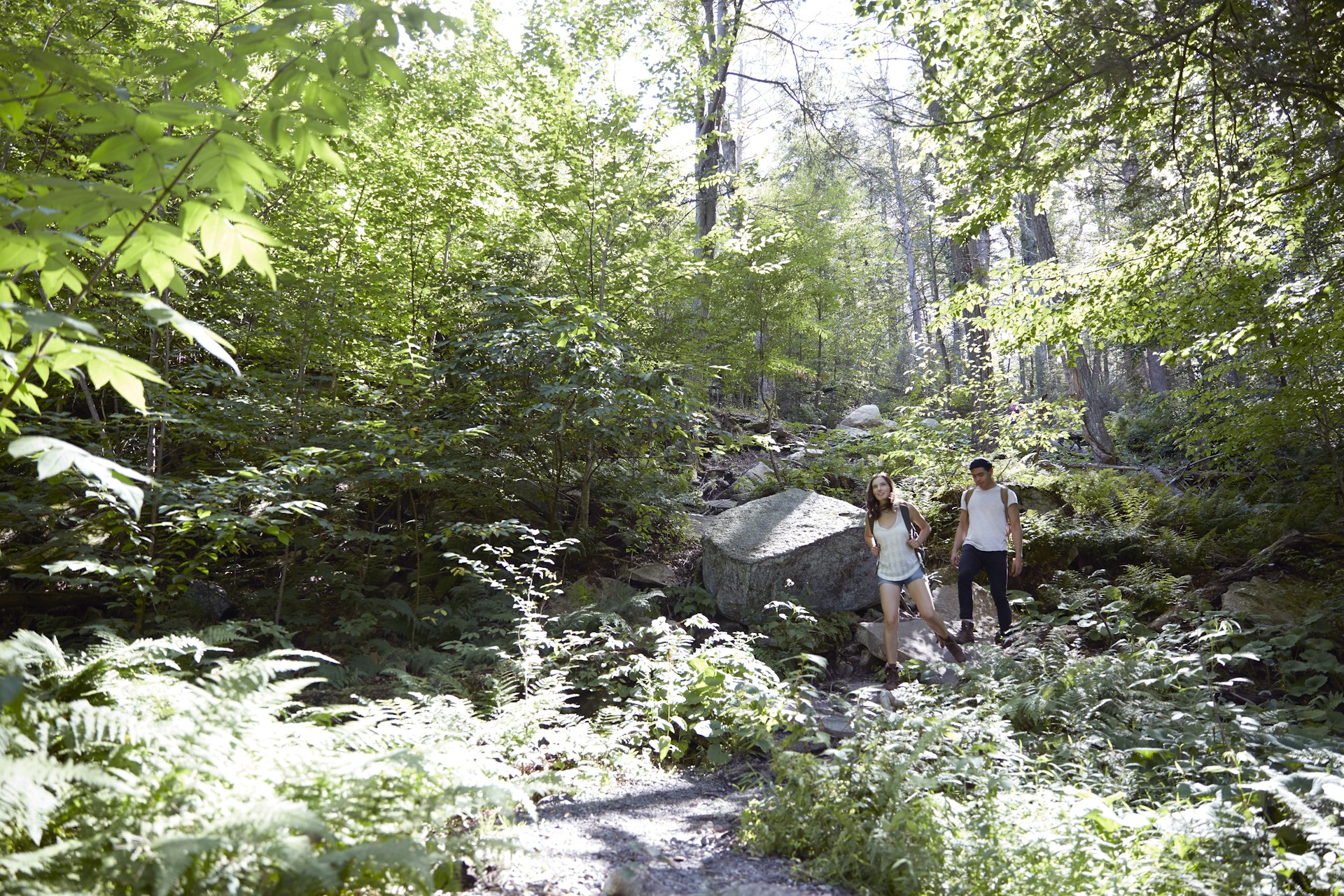 Two hikers in the forest in the Hudson Valley area, USA. 