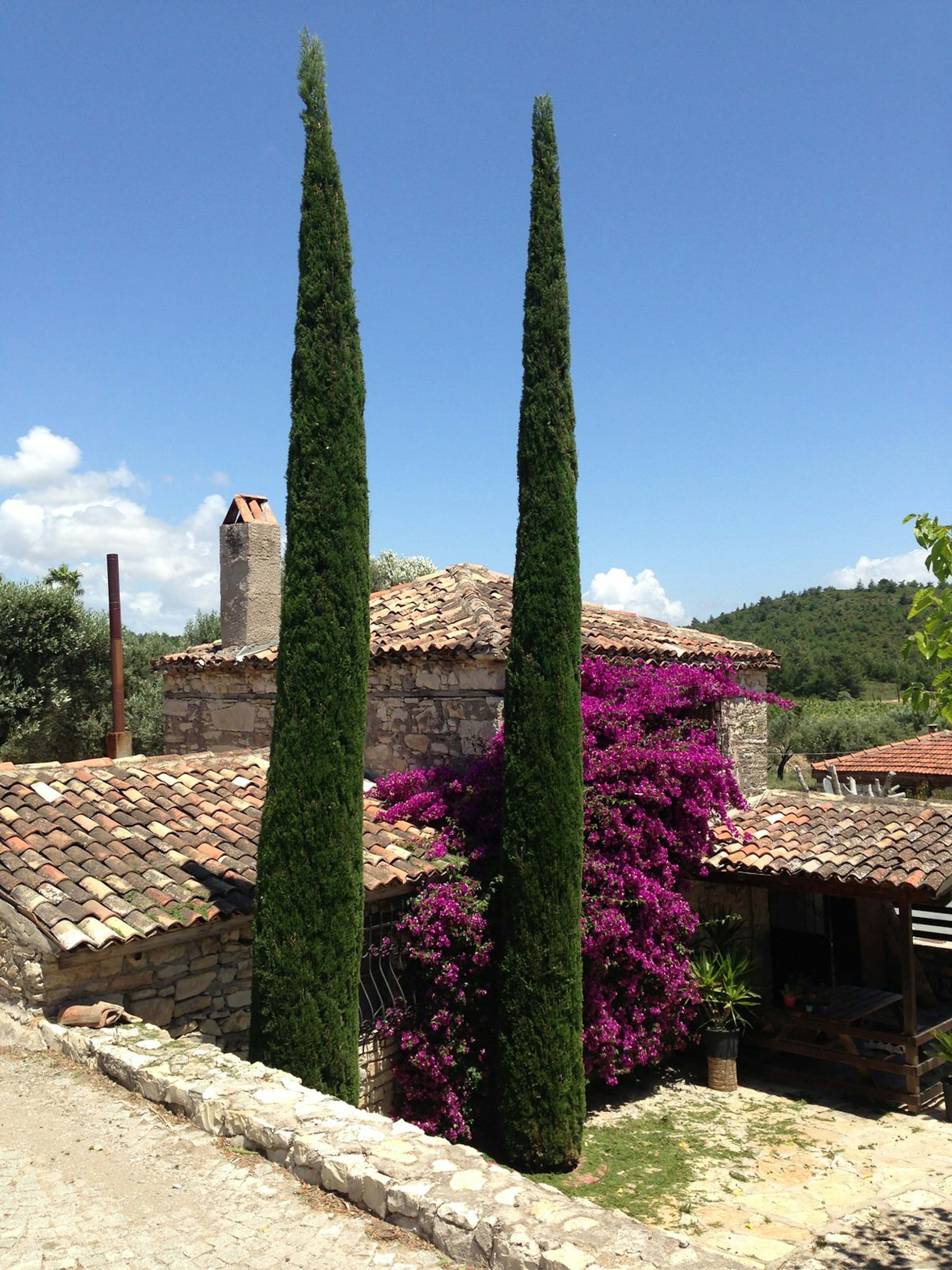 Urlice Vineyards looks like a little slice of Tuscany