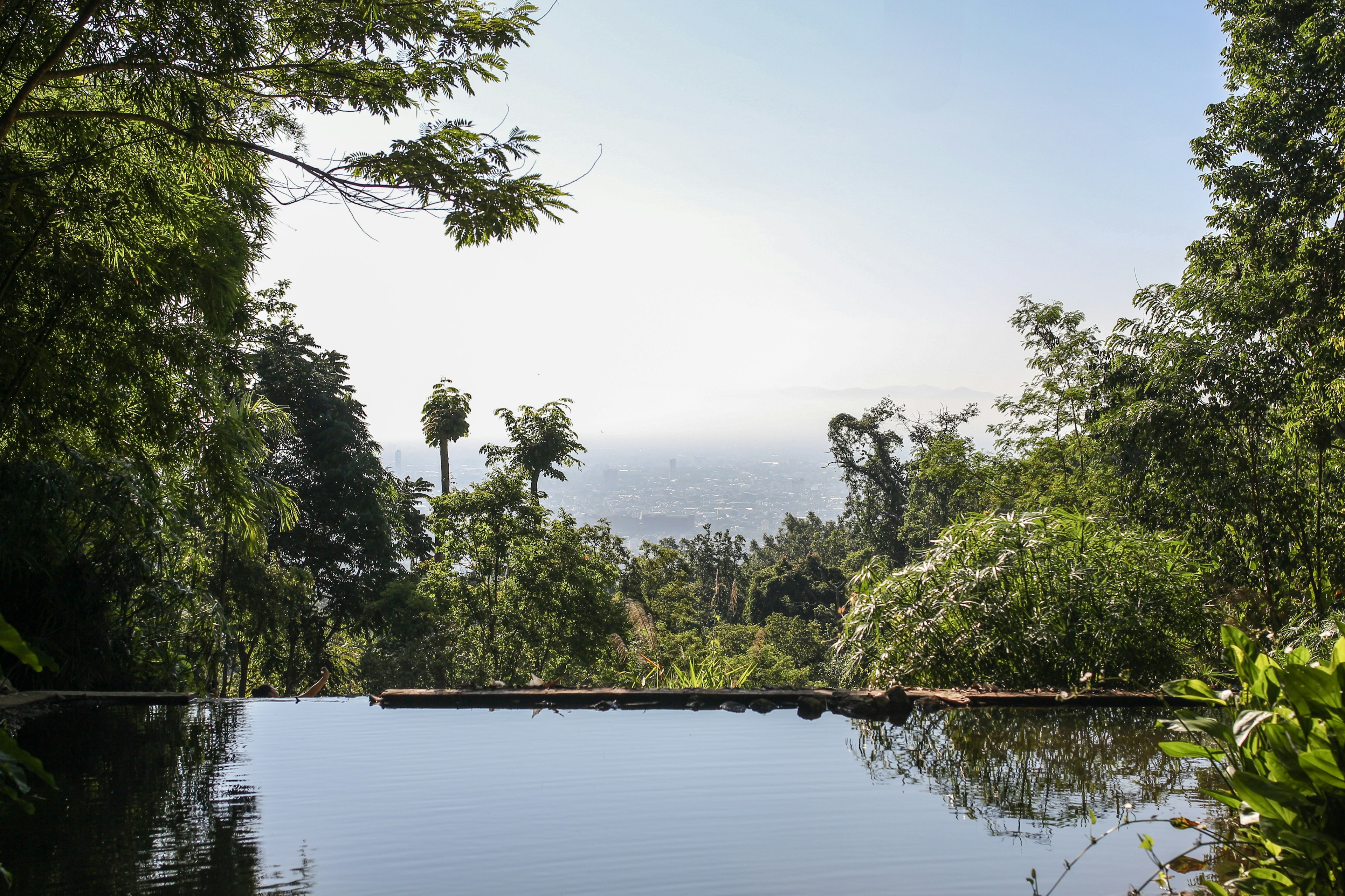 The view of Chiang Mai from the grounds of Wat Palat temple. In the foreground is a tranquil pond is surrounded by greenery, while in the background a cityscape is visible.