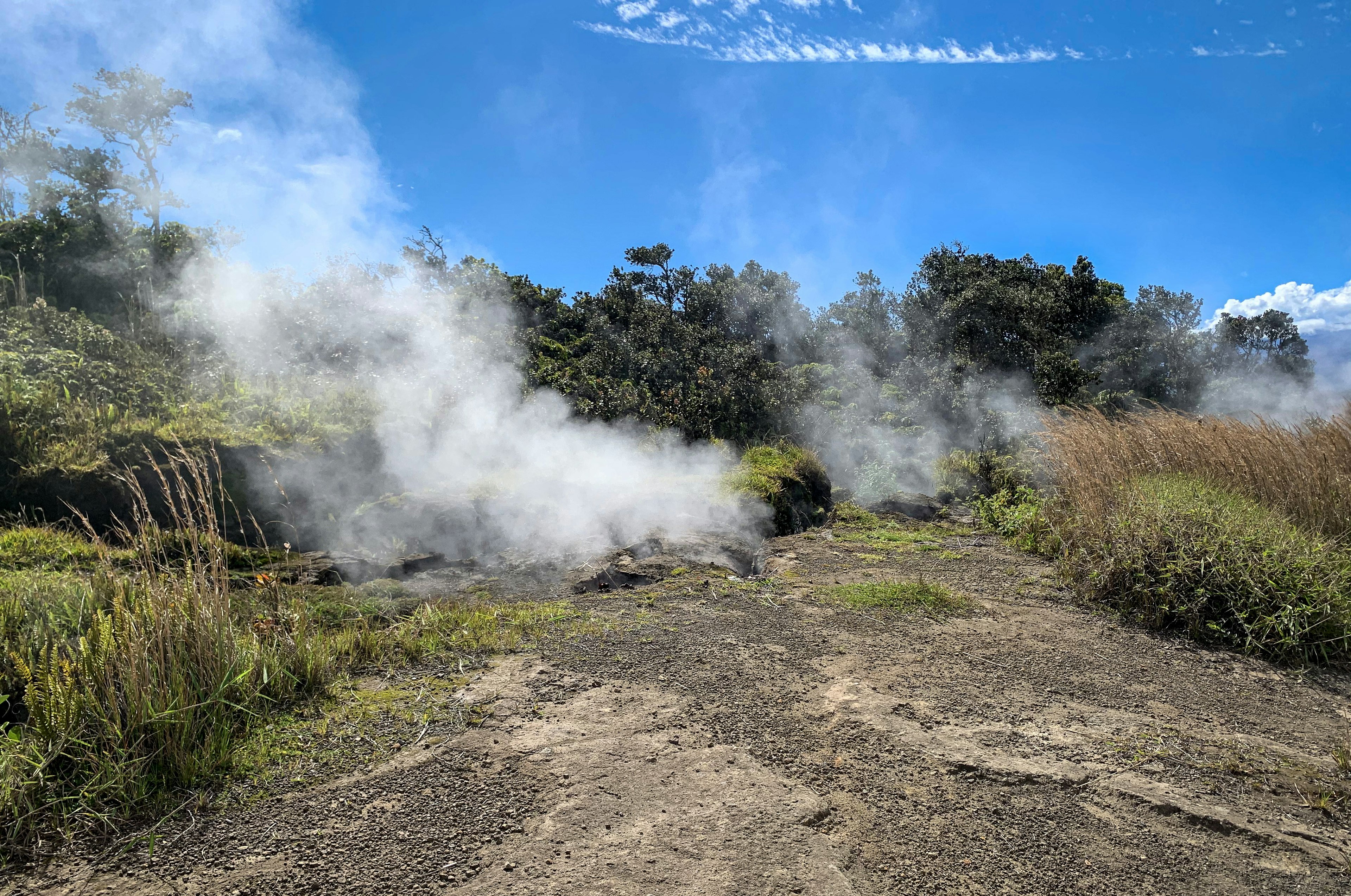 Steam rises from natural vent in the rock, surrounded by trees and grasses.