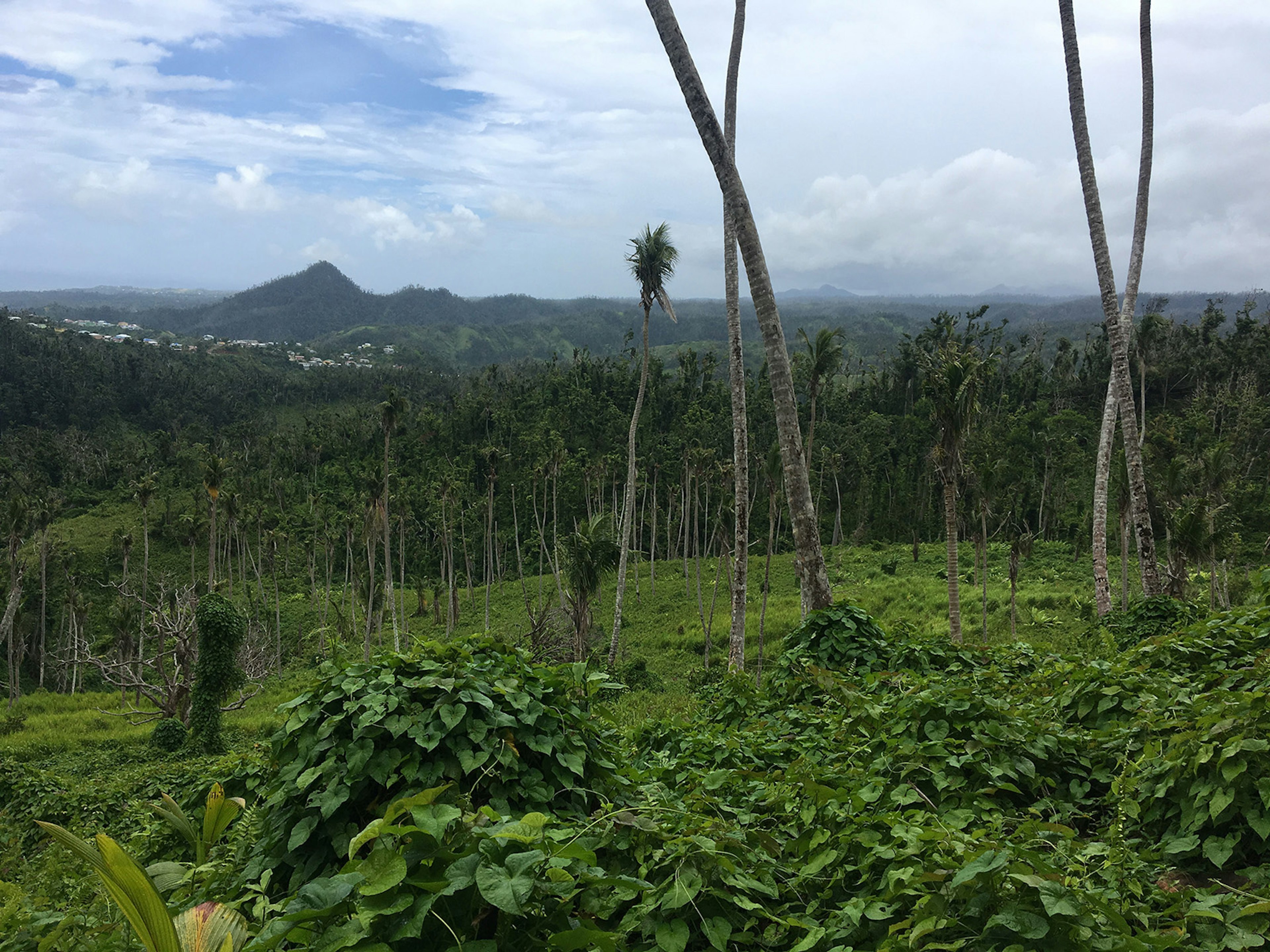 Overlooking northern Dominica on segment 13 of the Waitukubuli National Trail