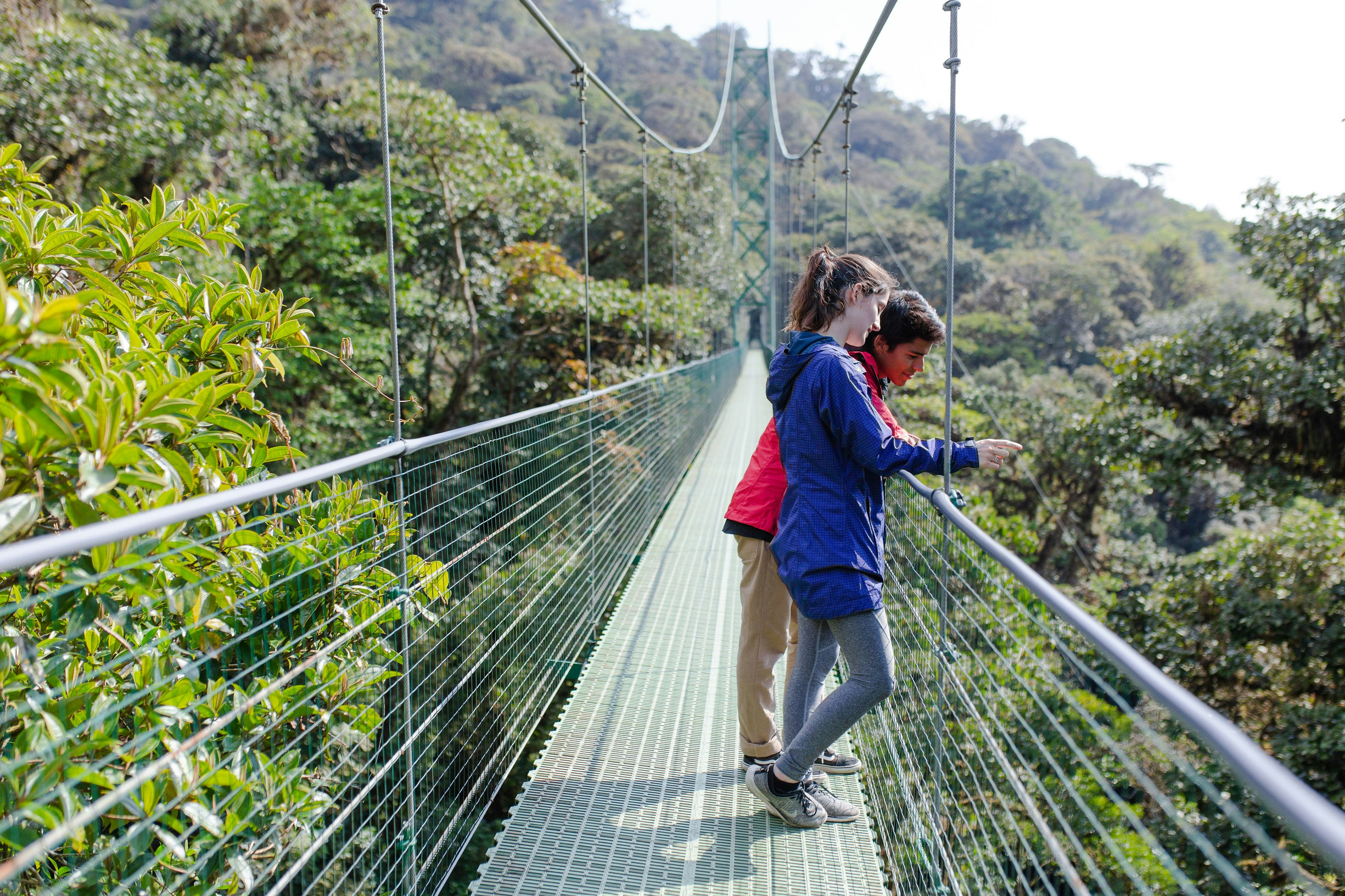 A couple stand on a suspended walkway in the tree tops; the image is looking down the length of the walkway, and it seems to go on forever.