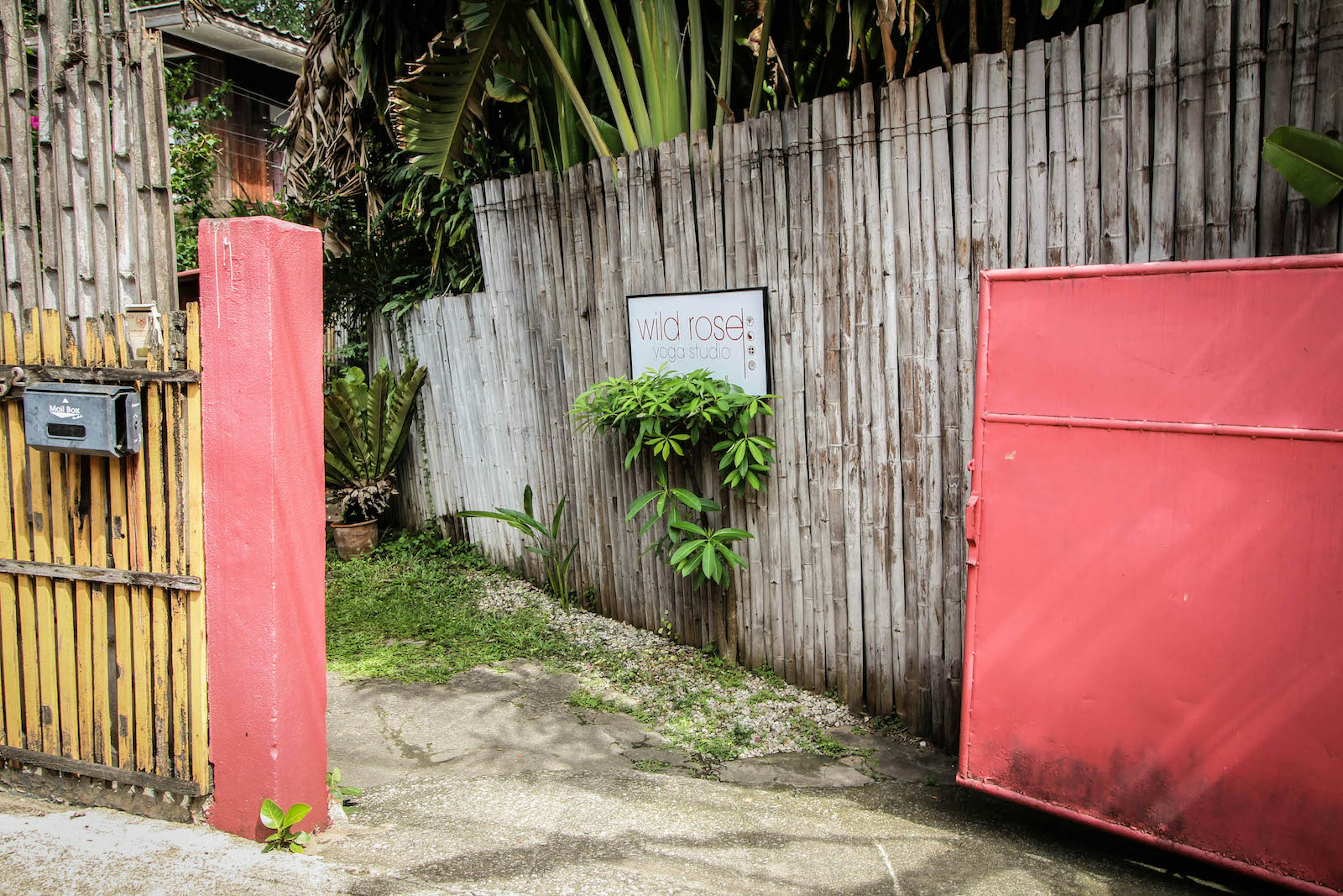 A bamboo fence leading to the Wild Rose entrance