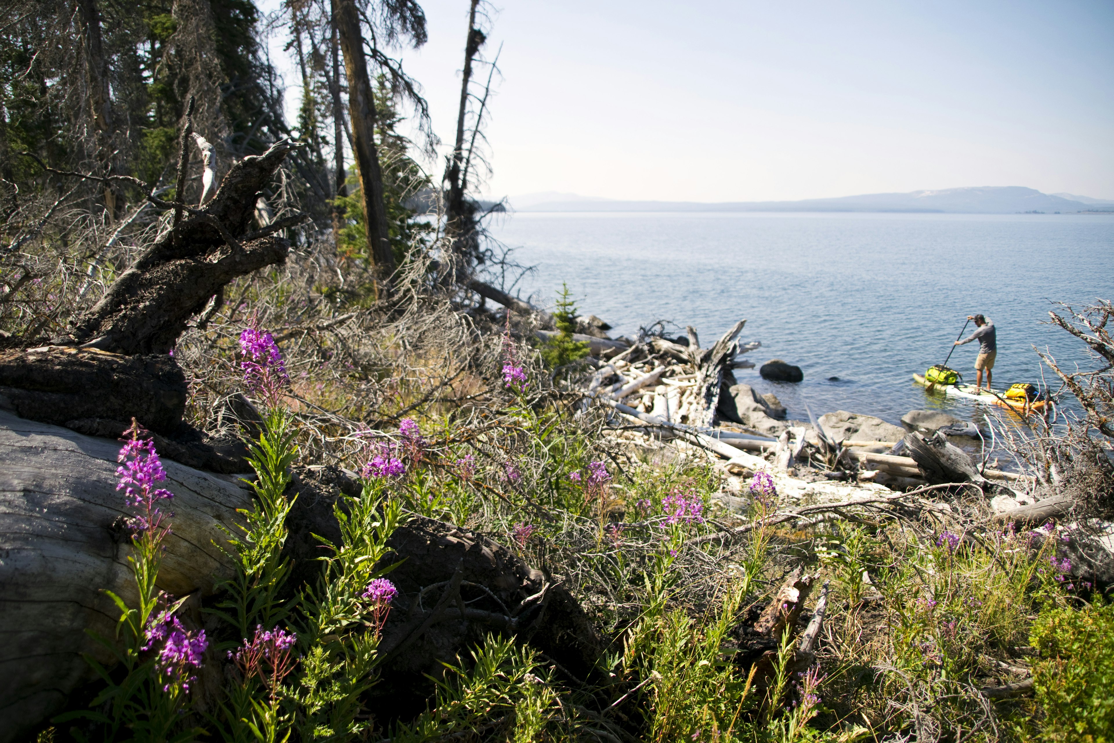 Yellowstone National Park paddling on lakes.jpg