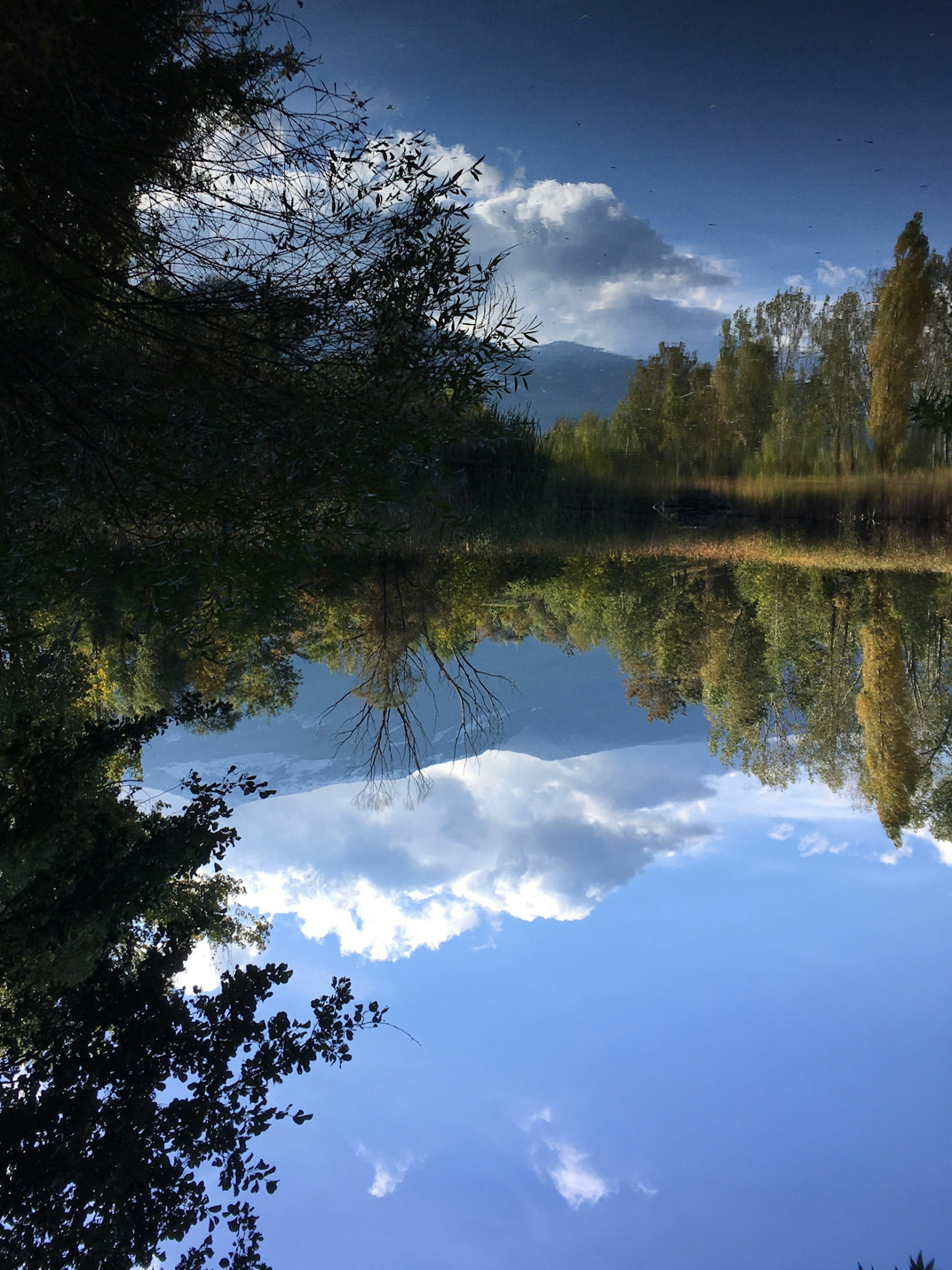 The tranquil lake in Sofia's green Yuzhen Park is great for a stroll