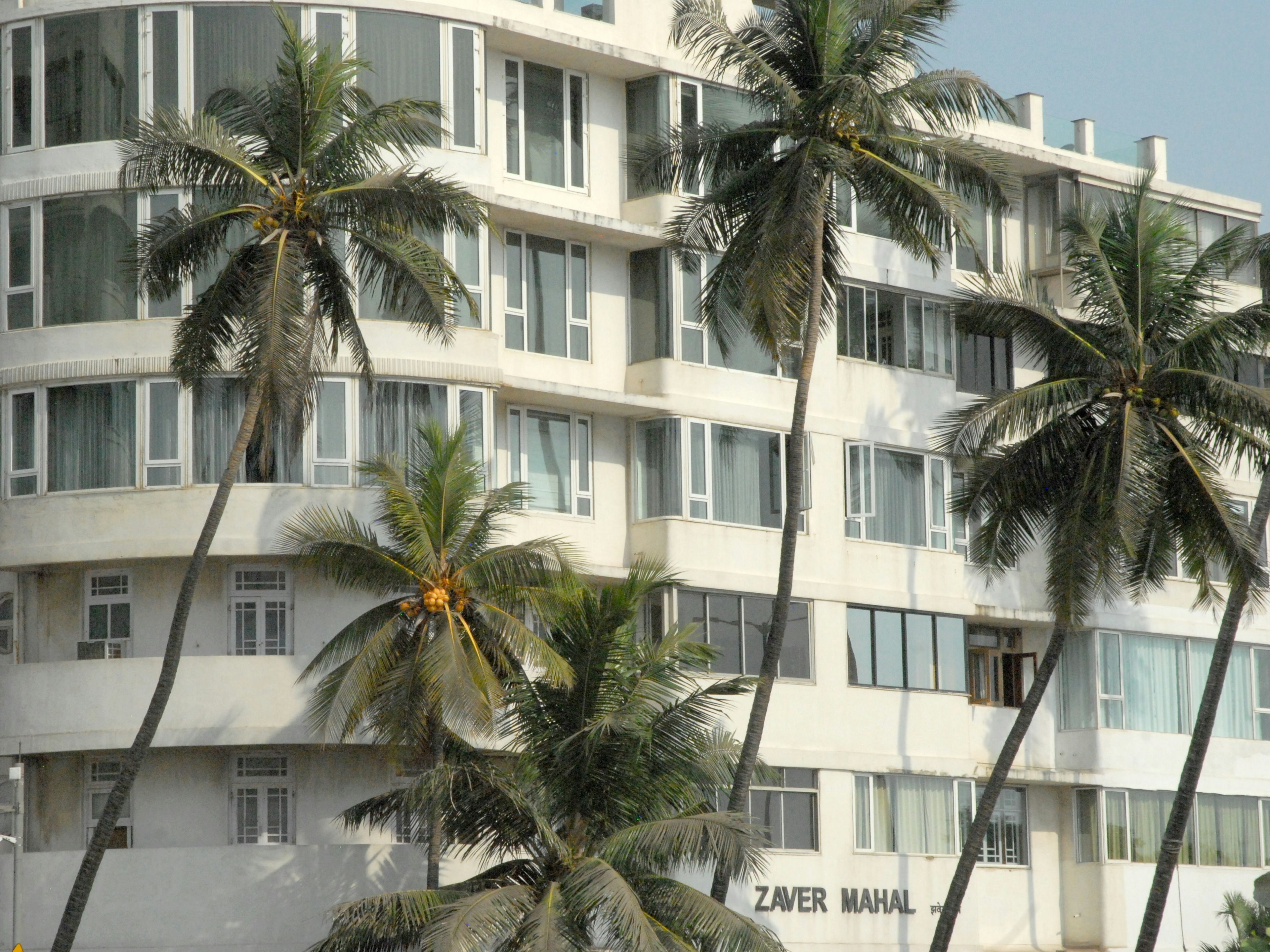 Palms crowd the frontage of the Zaver Mahal © Joe Bindloss / Lonely Planet