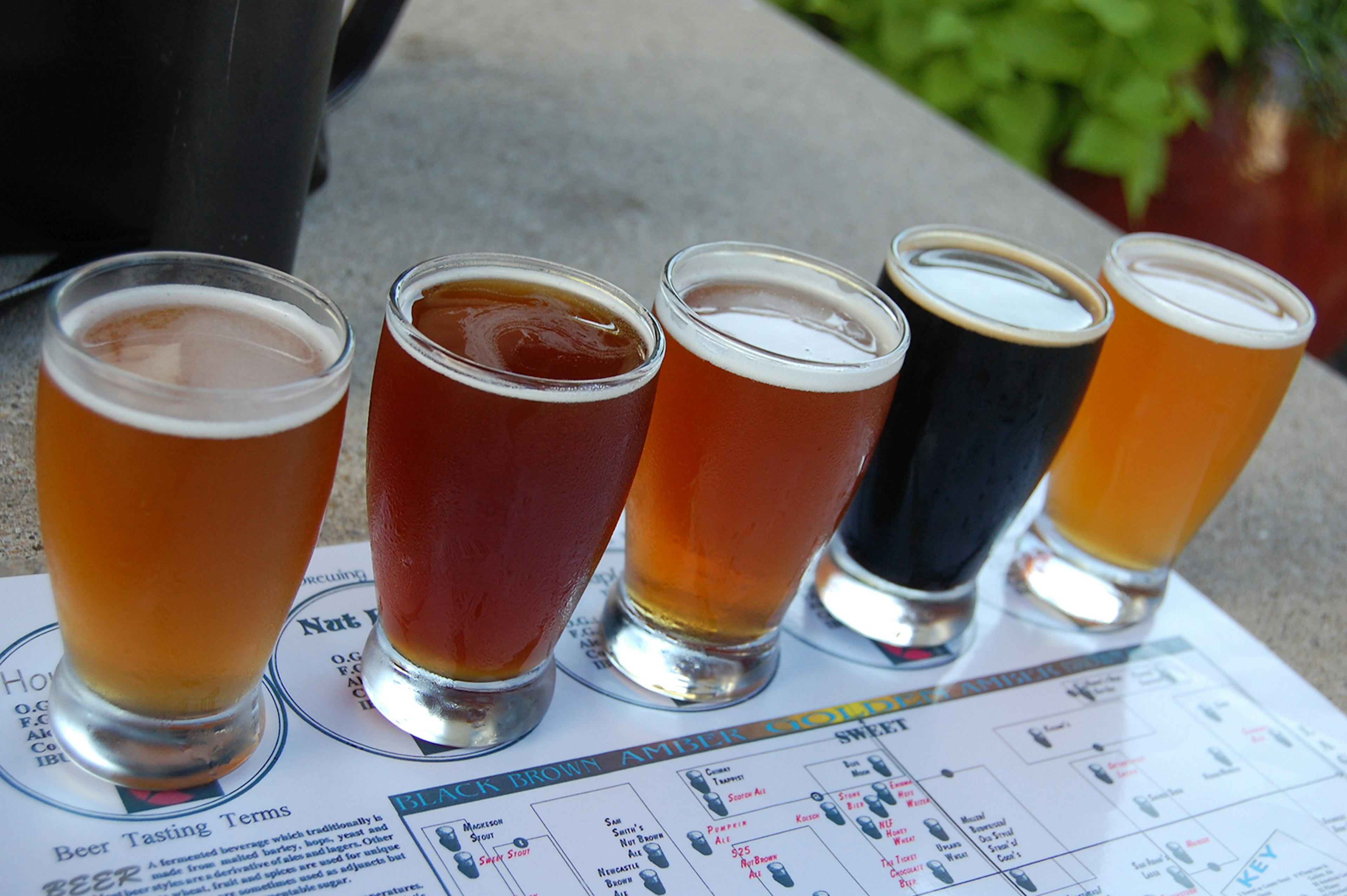 close-up of a row of beer glasses filled with anything from pilsen to porter, on a concrete table outdoors at Zwanzigz Brewing