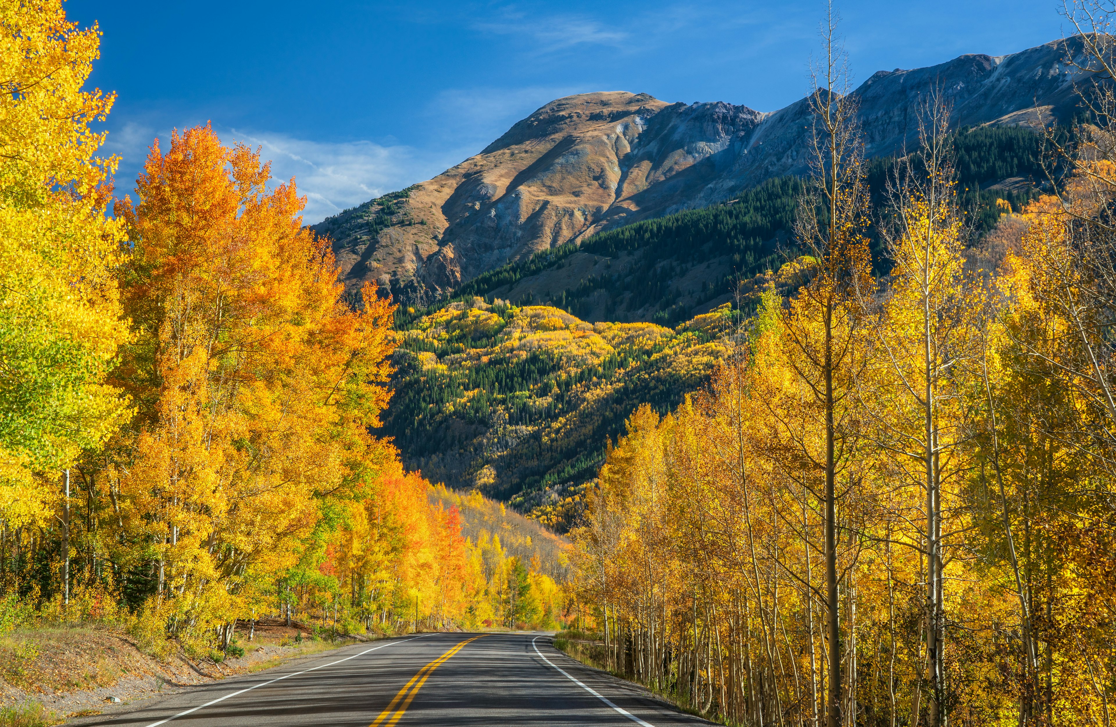 Road through trees during autumn on the Million Dollar Highway.